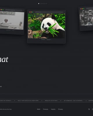 Nonprofit Marketing & Agency Portfolio Website Template