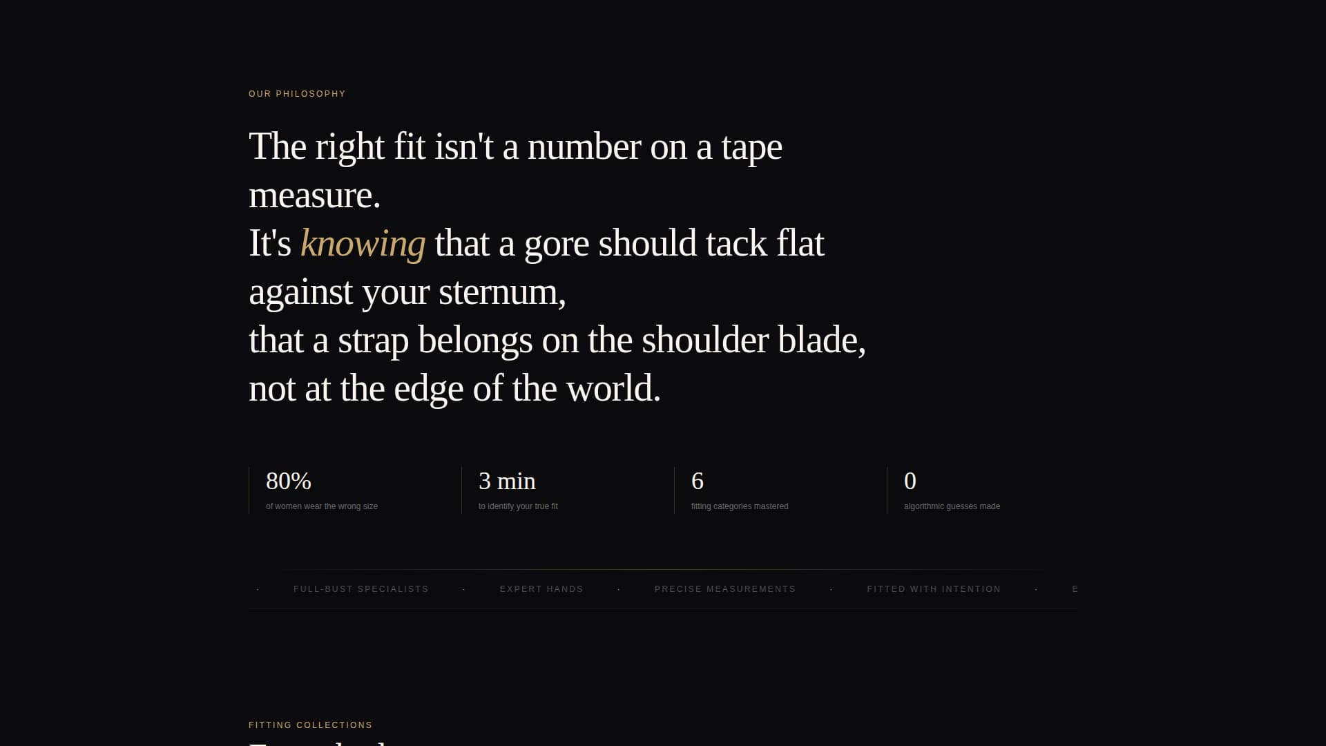 Silhouette - Luxe Fitting Landing Page Template