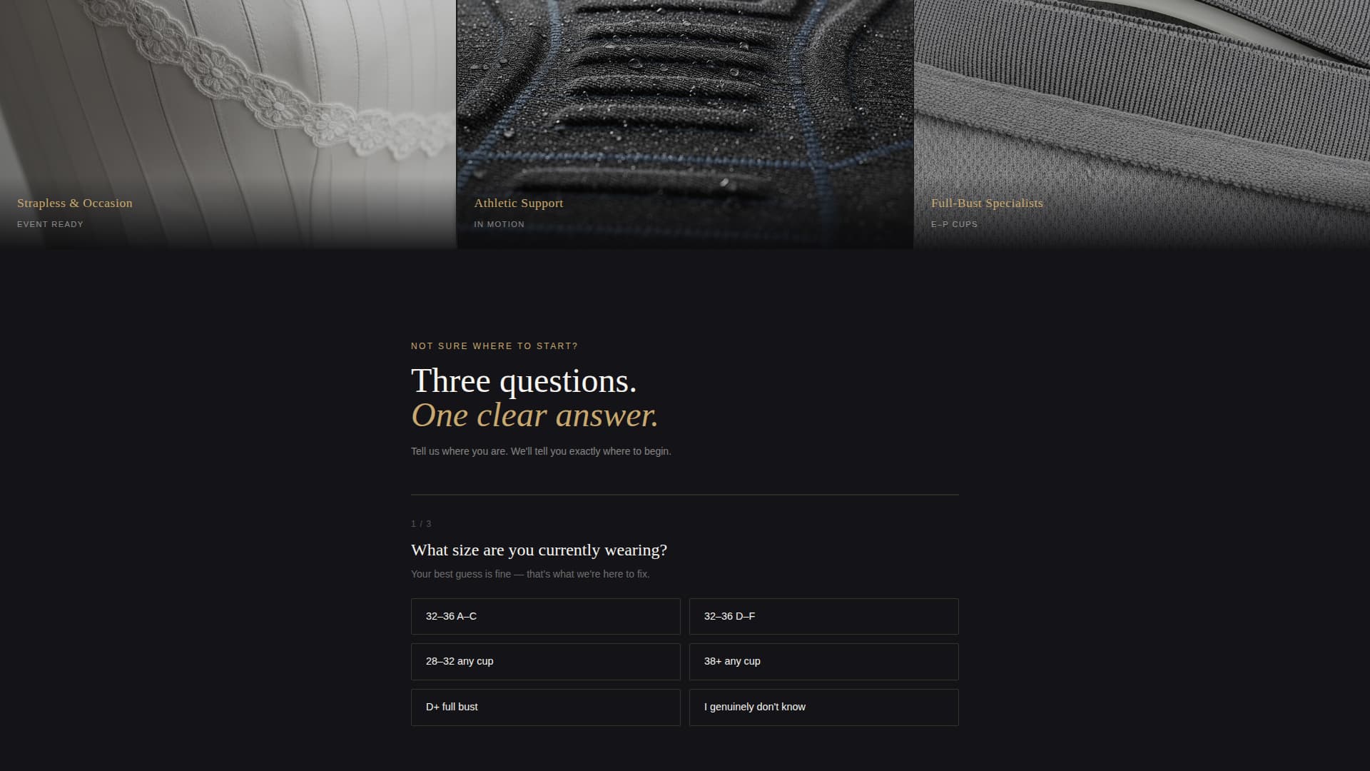 Silhouette - Luxe Fitting Landing Page Template