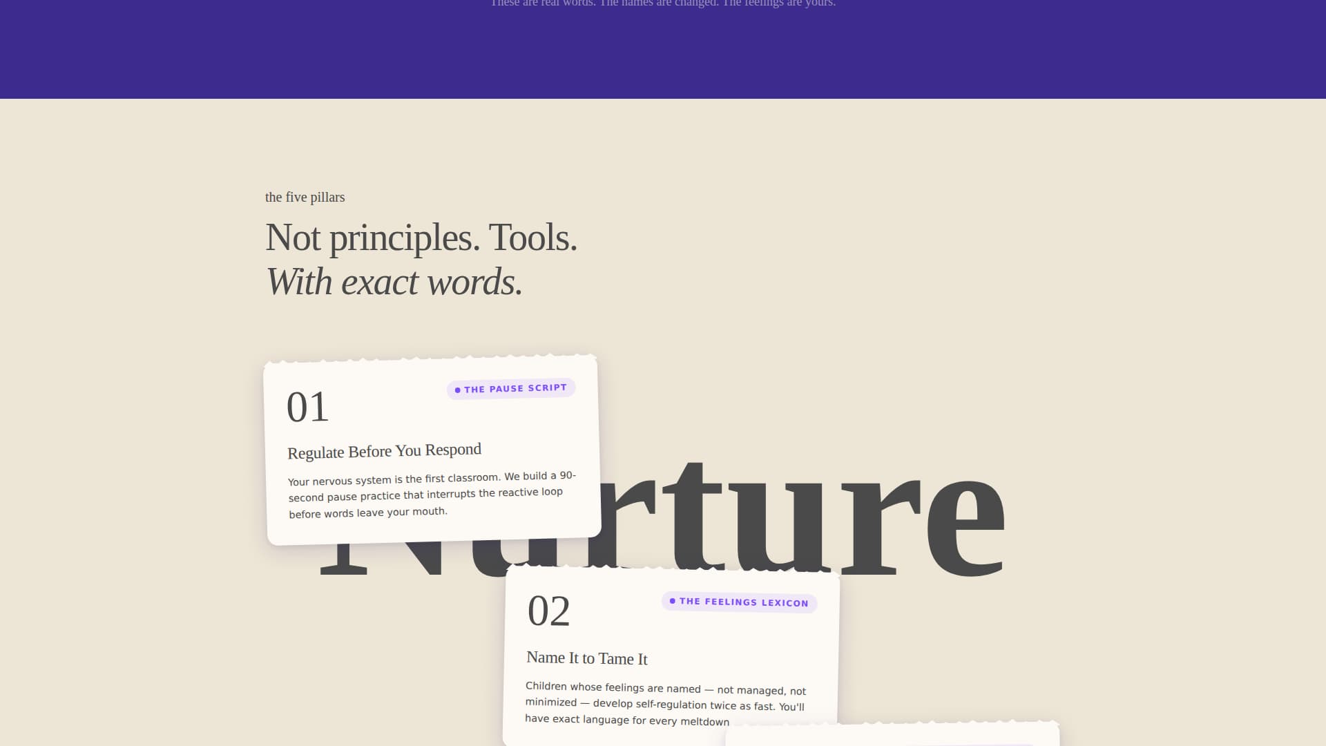 Coach & Mentor Pre-Launch Website Template