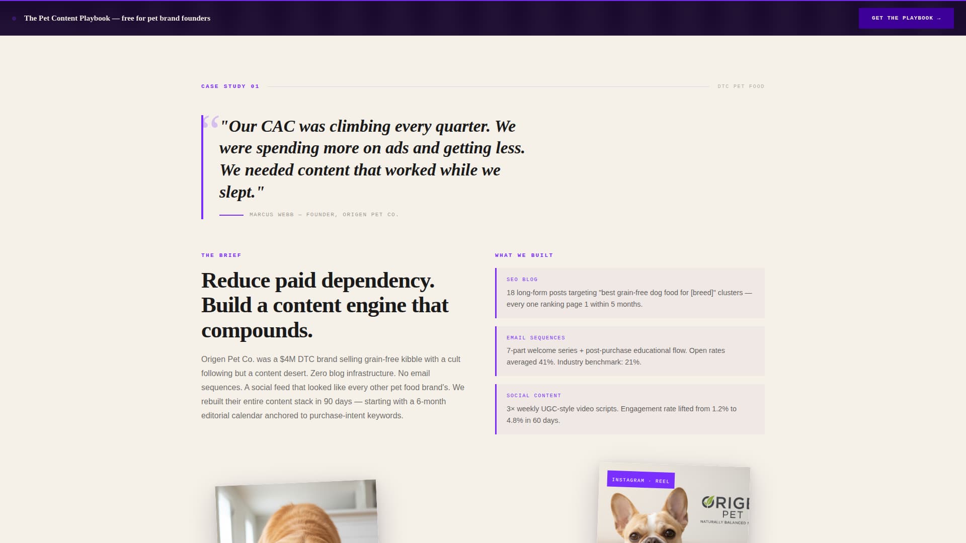 Pet Care Marketing & Agency Expert Portfolio Website Template