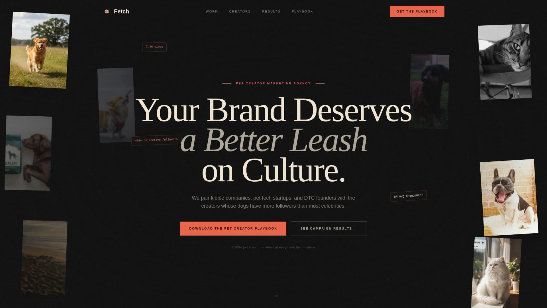 Pet Care Marketing & Agency Blog Website Template