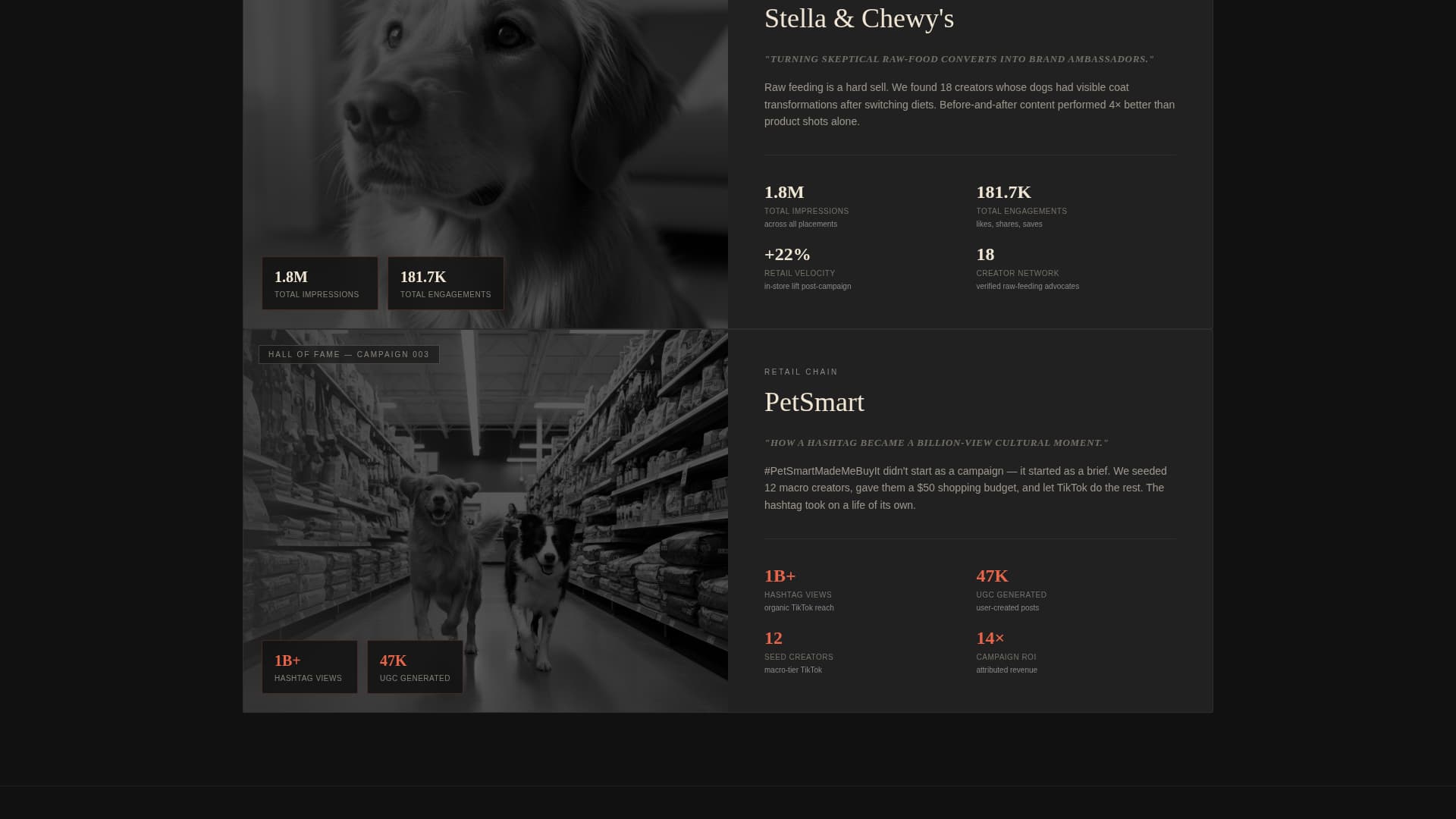 Pet Care Marketing & Agency Blog Website Template