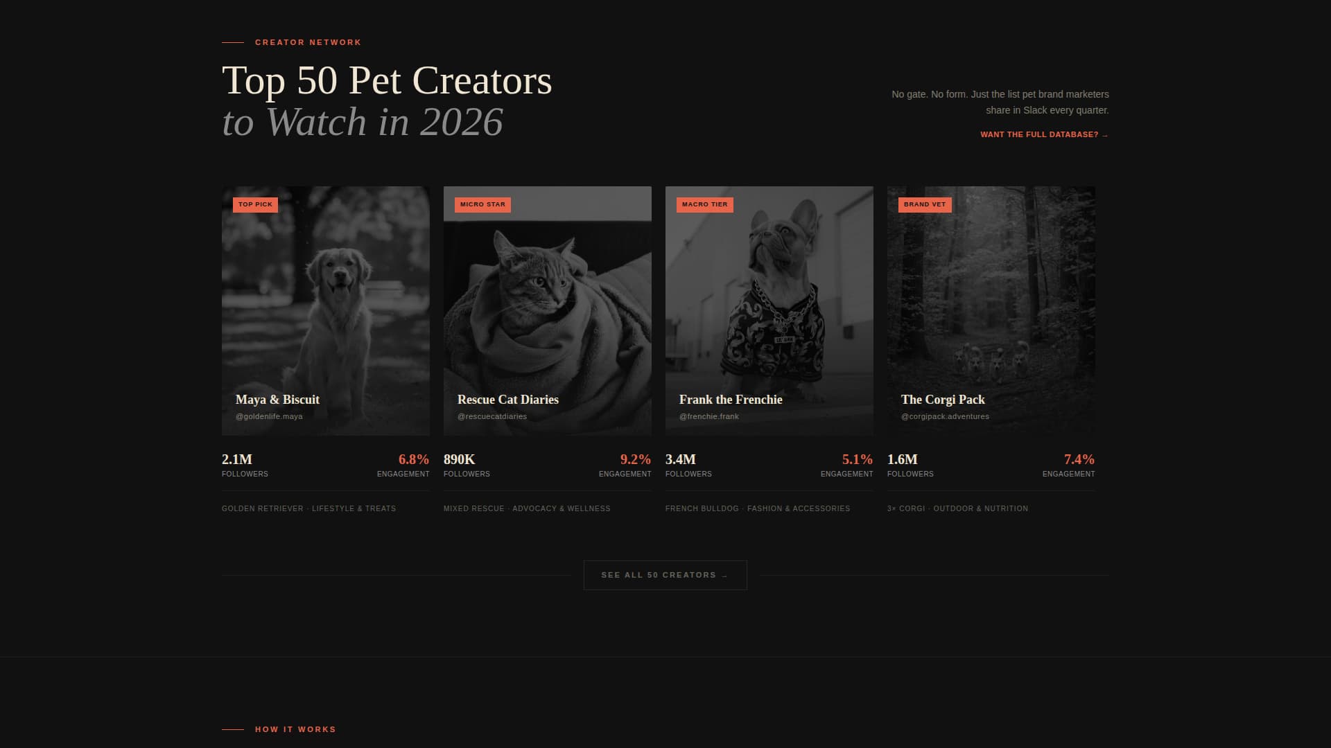 Pet Care Marketing & Agency Blog Website Template