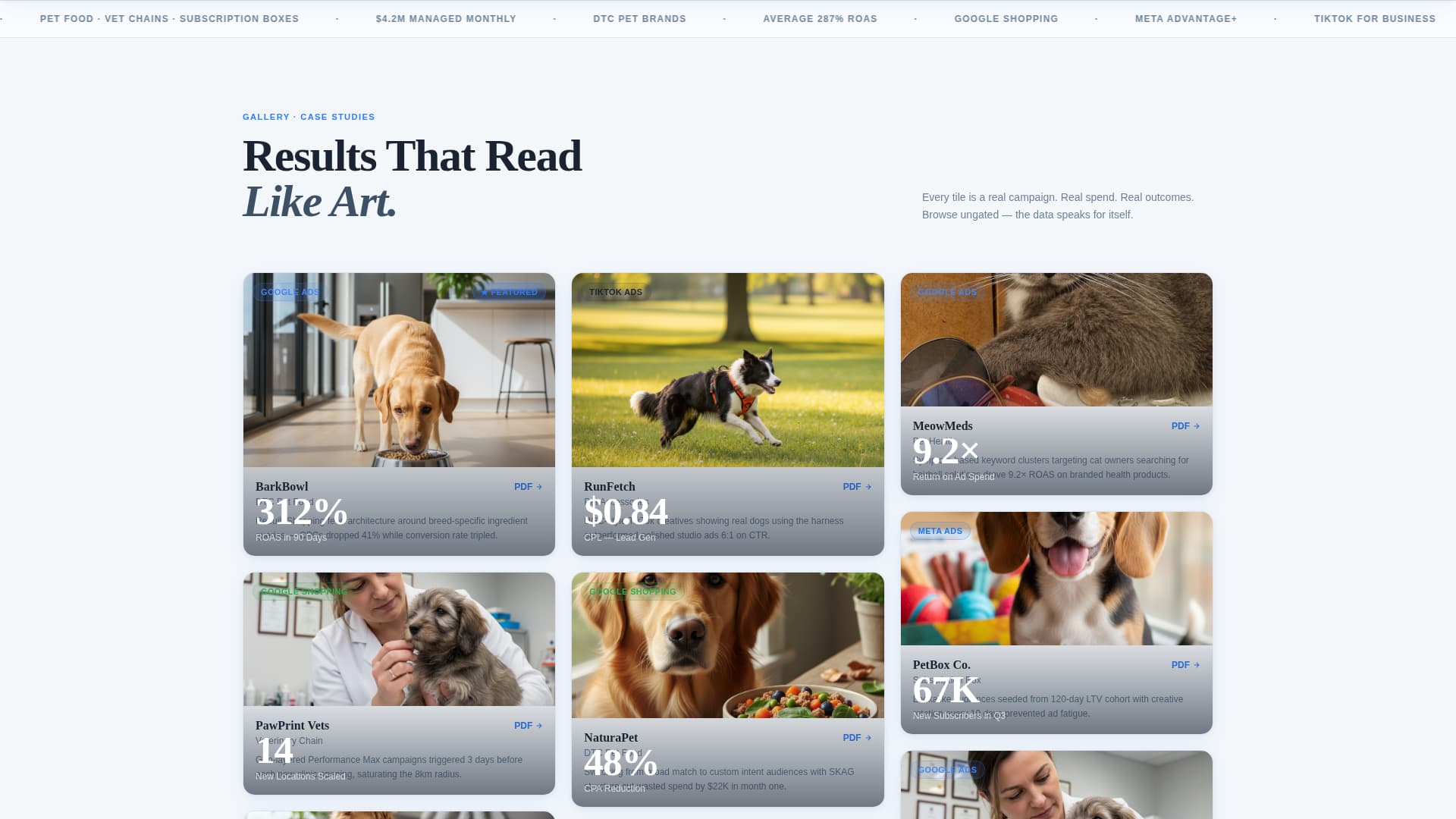 Pet Care Marketing & Agency Portfolio Website Template