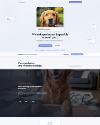 Pet Care Marketing & Agency Complete Portfolio Website Template