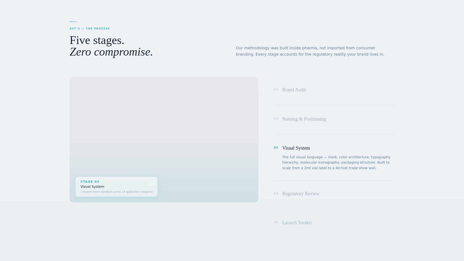 Pharmaceutical Marketing & Agency Specialist Portfolio Website Template