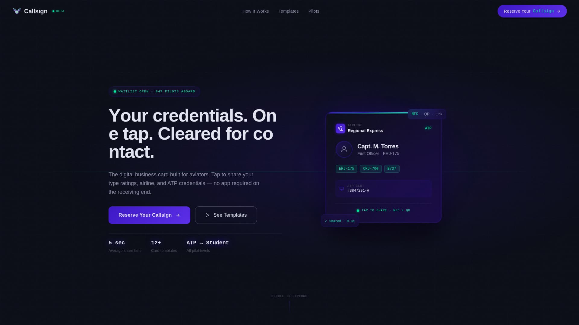 Pilot Profile Complete Pre-Launch Website Template