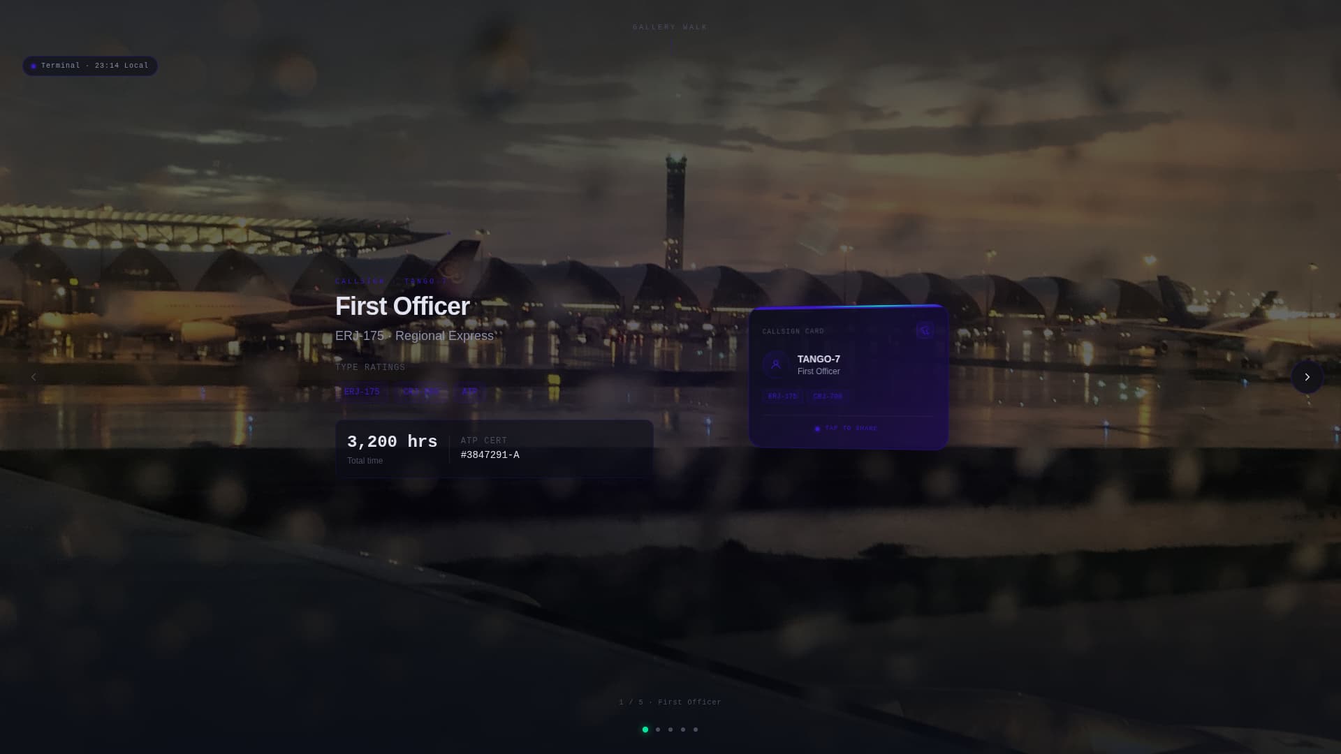 Pilot Profile Complete Pre-Launch Website Template