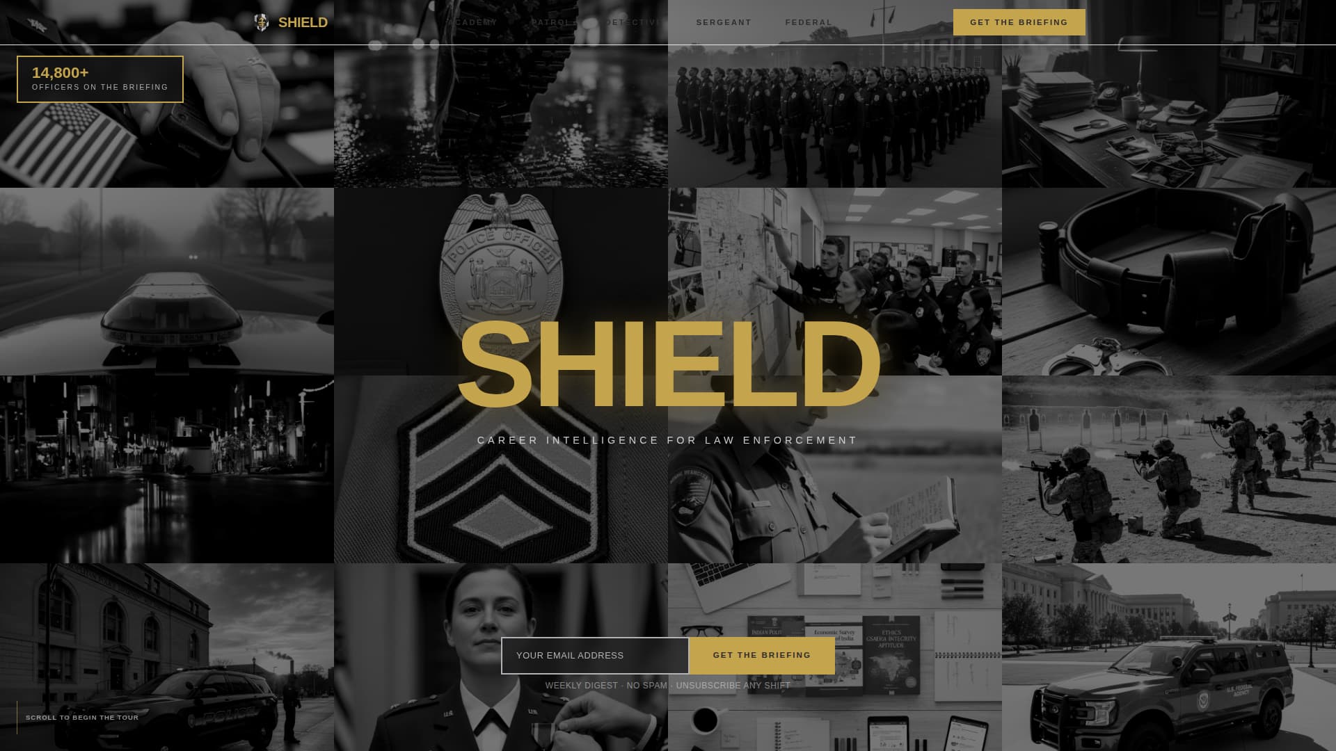 Police Officer Profile Specialist Careers Website Template