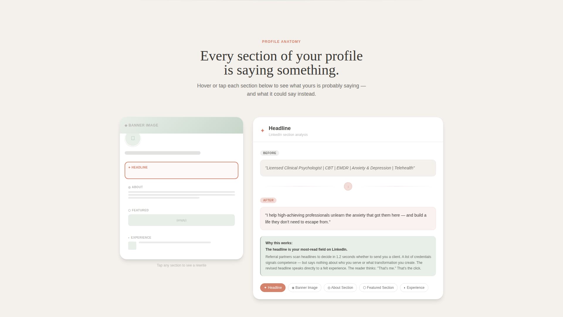 Psychologist Profile Directory Website Template