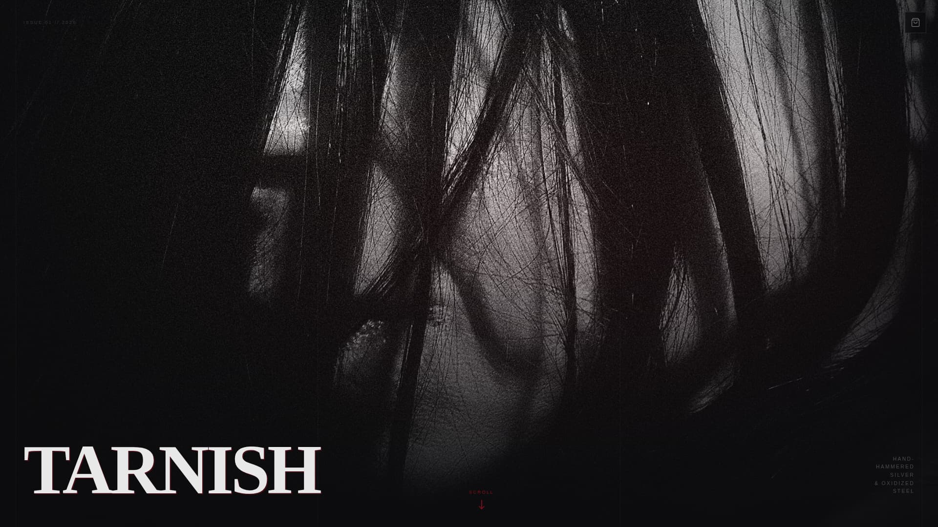 Tarnish - Immersive Accessories Landing Page Template