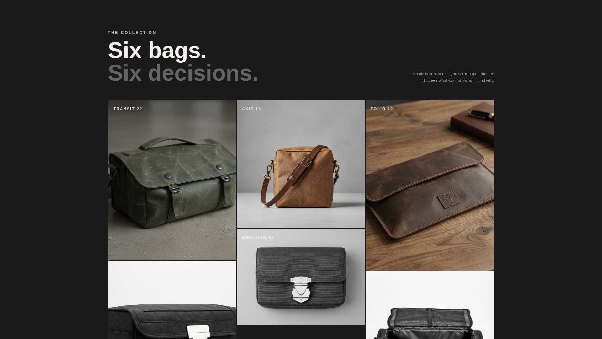 Carry - Brutalist Bag Landing Page Template