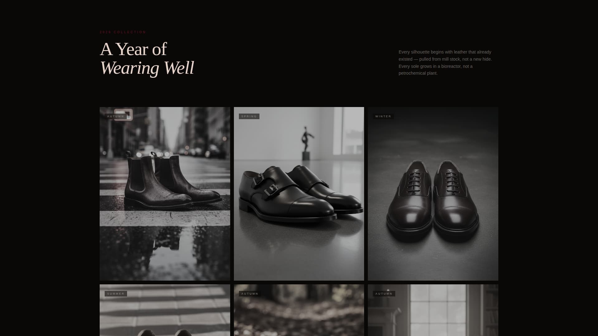 Footwear Brand Pricing Website Template