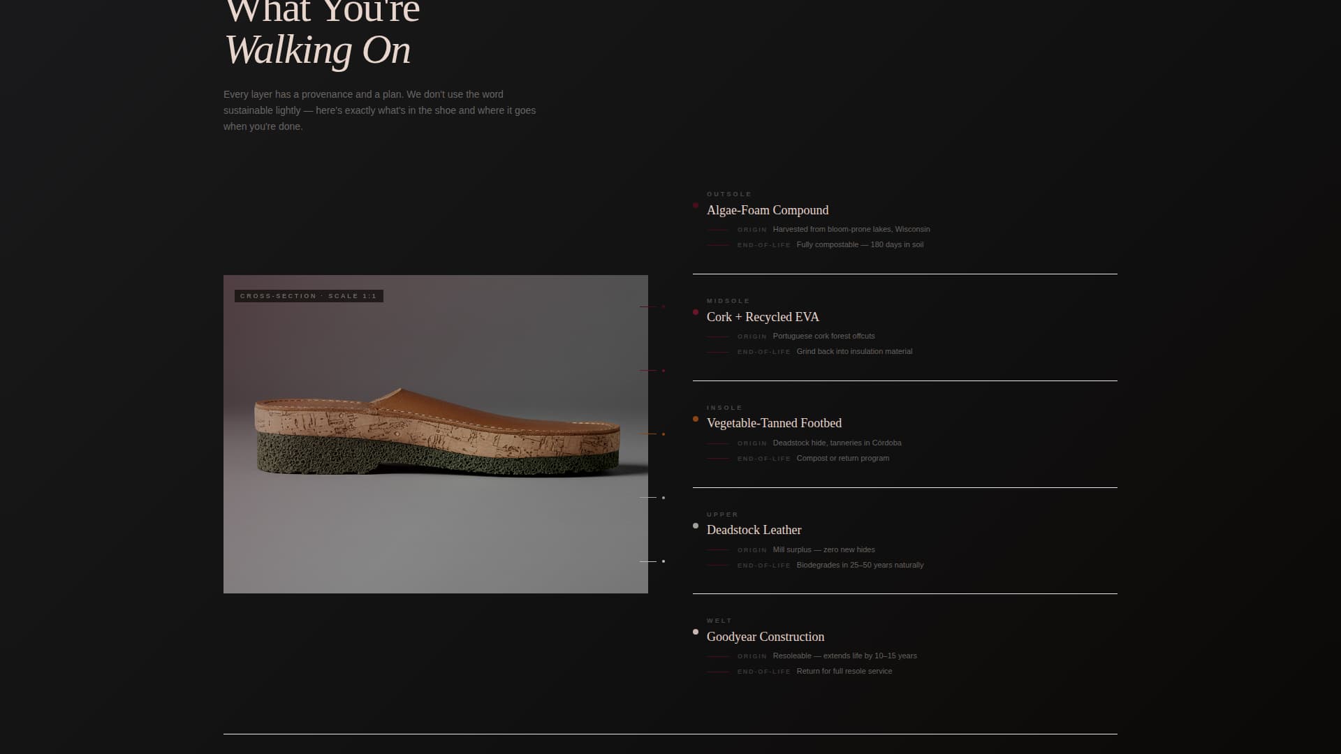 Footwear Brand Pricing Website Template