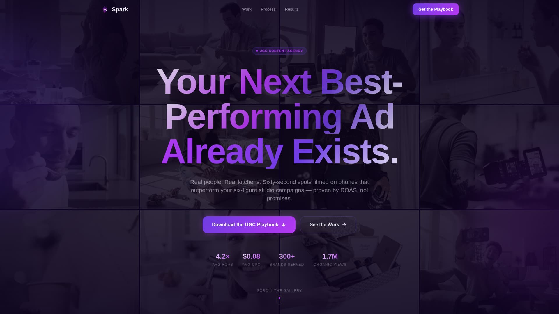 Social Media & Influencer Agency Portfolio Website Template