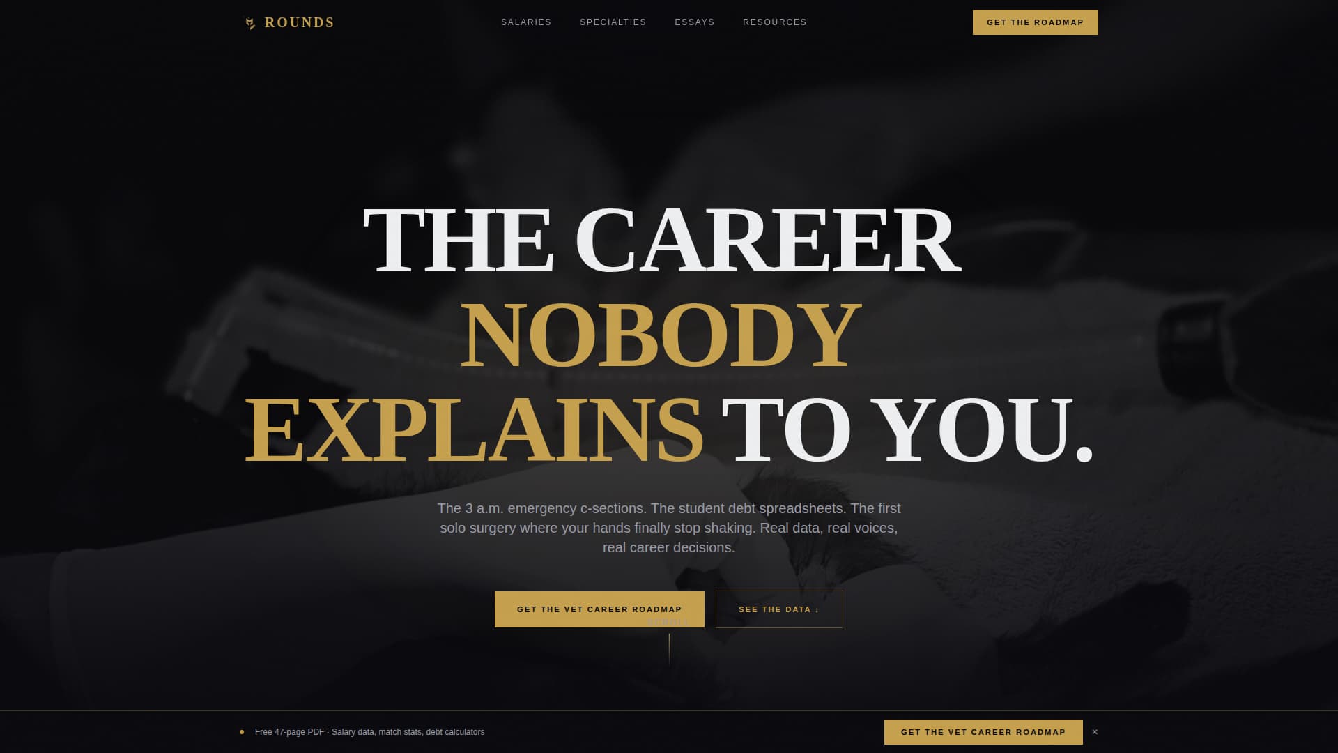 Rounds - Immersive Veterinarian Landing Page Template