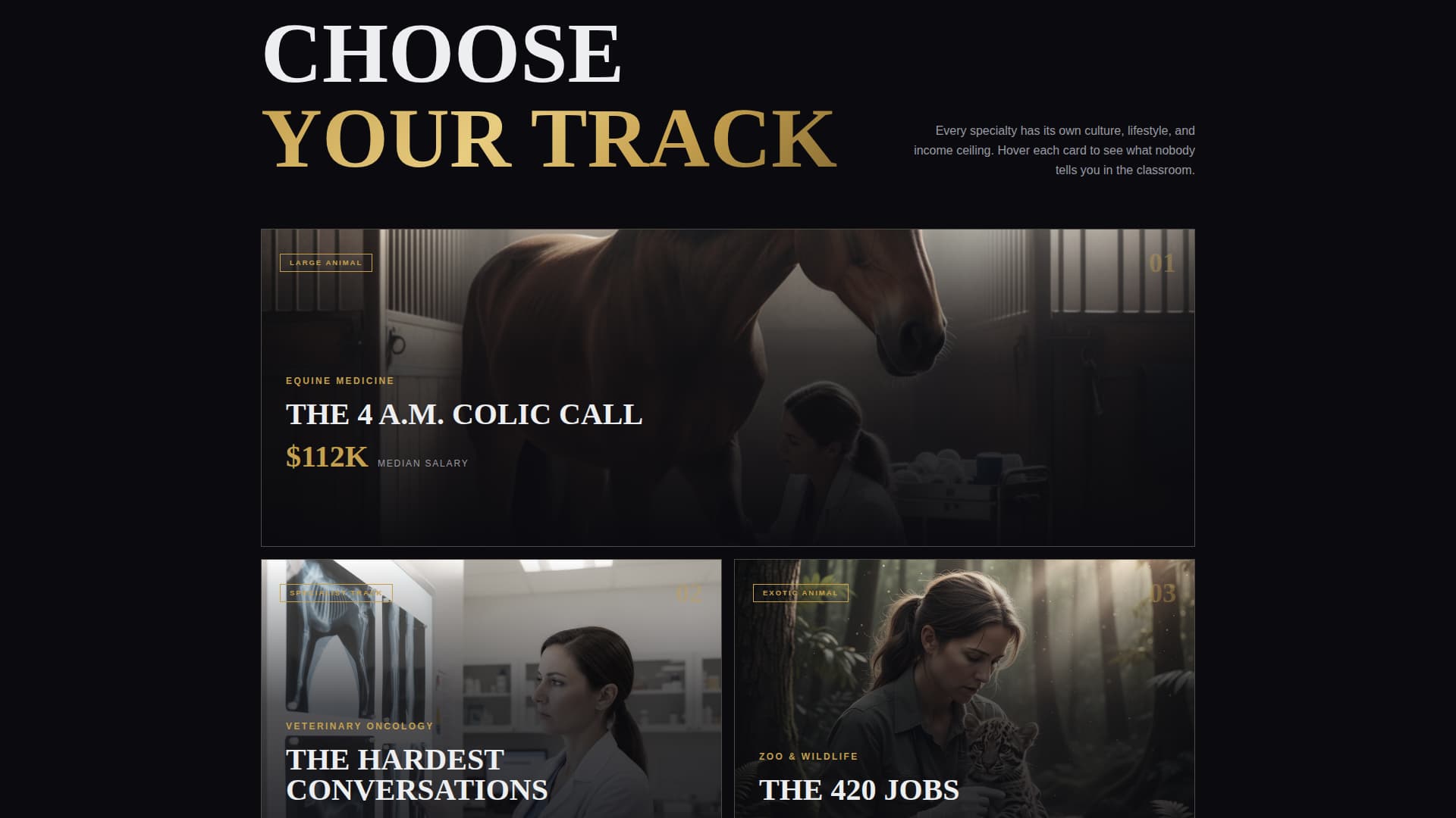 Rounds - Immersive Veterinarian Landing Page Template