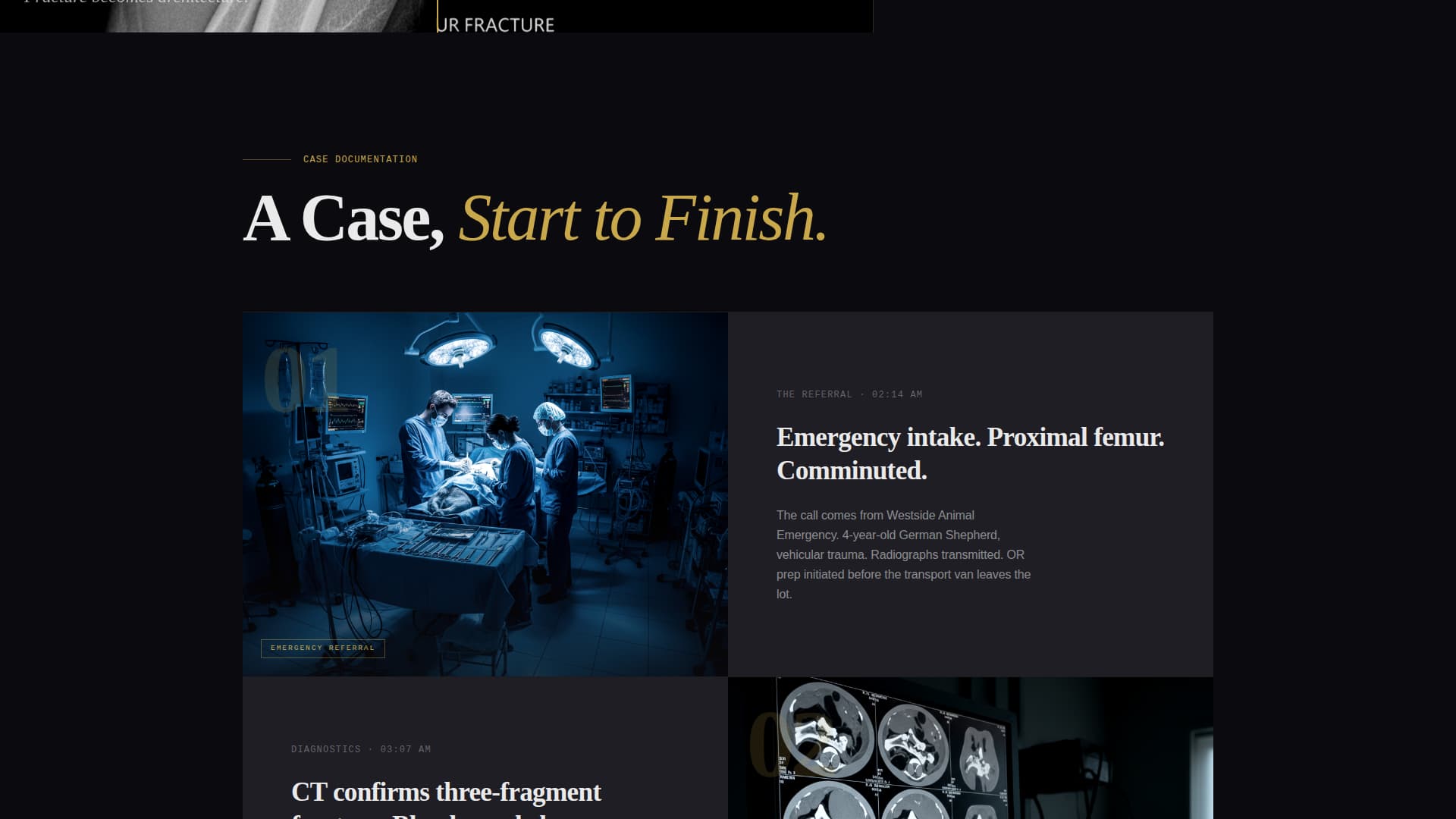 Suture - Precision Veterinarian Landing Page Template