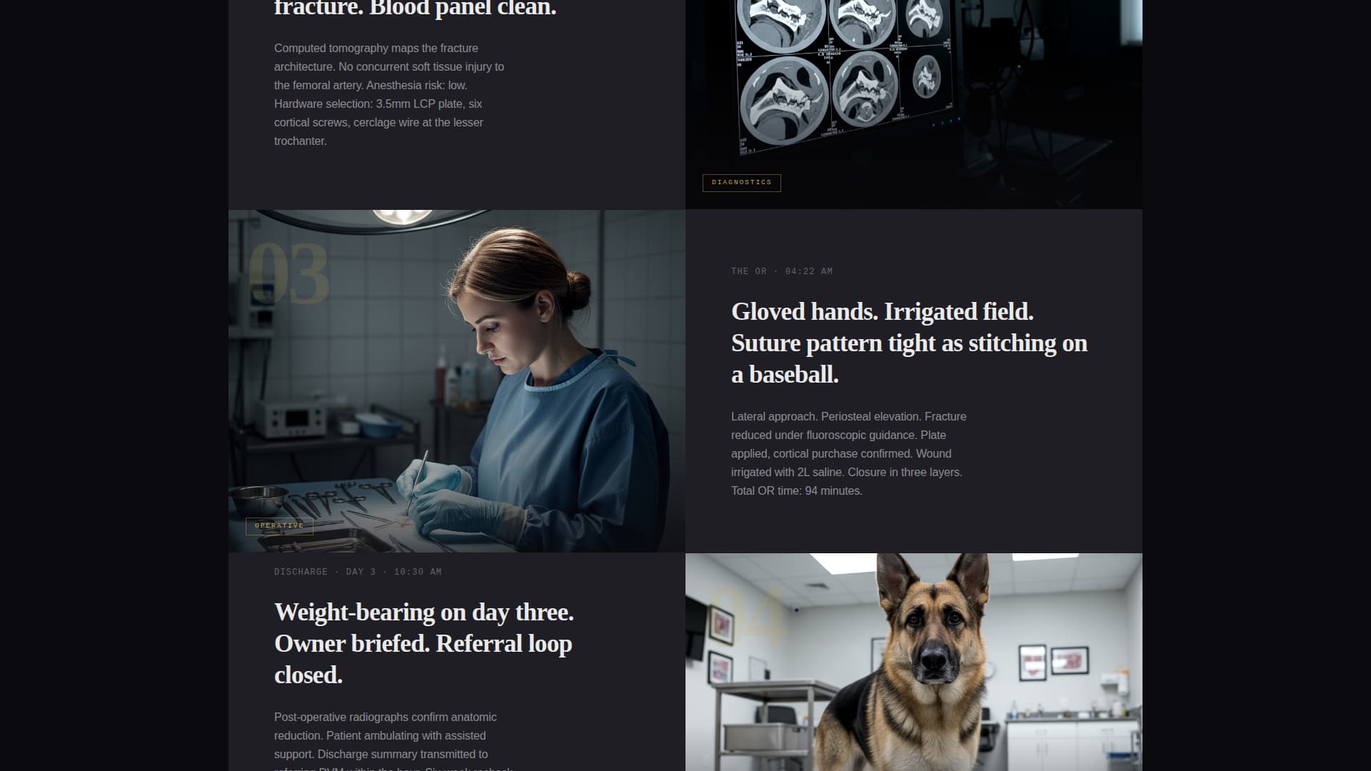 Suture - Precision Veterinarian Landing Page Template