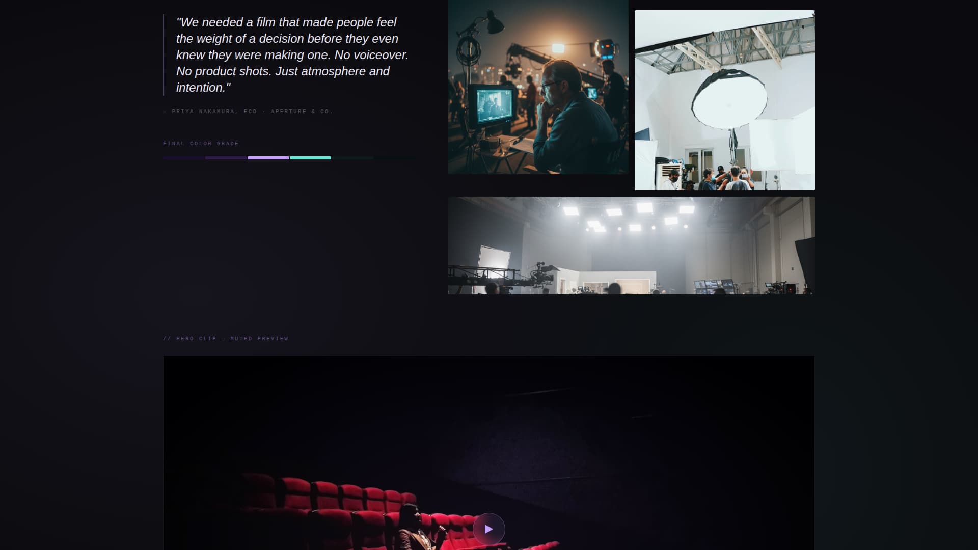 Videographer Portfolio Portfolio Website Template