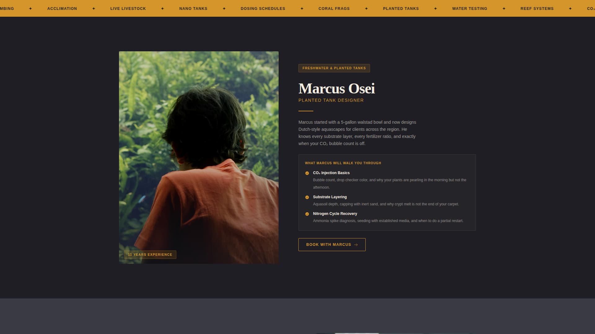 Reef - Immersive Aquarium Landing Page Template