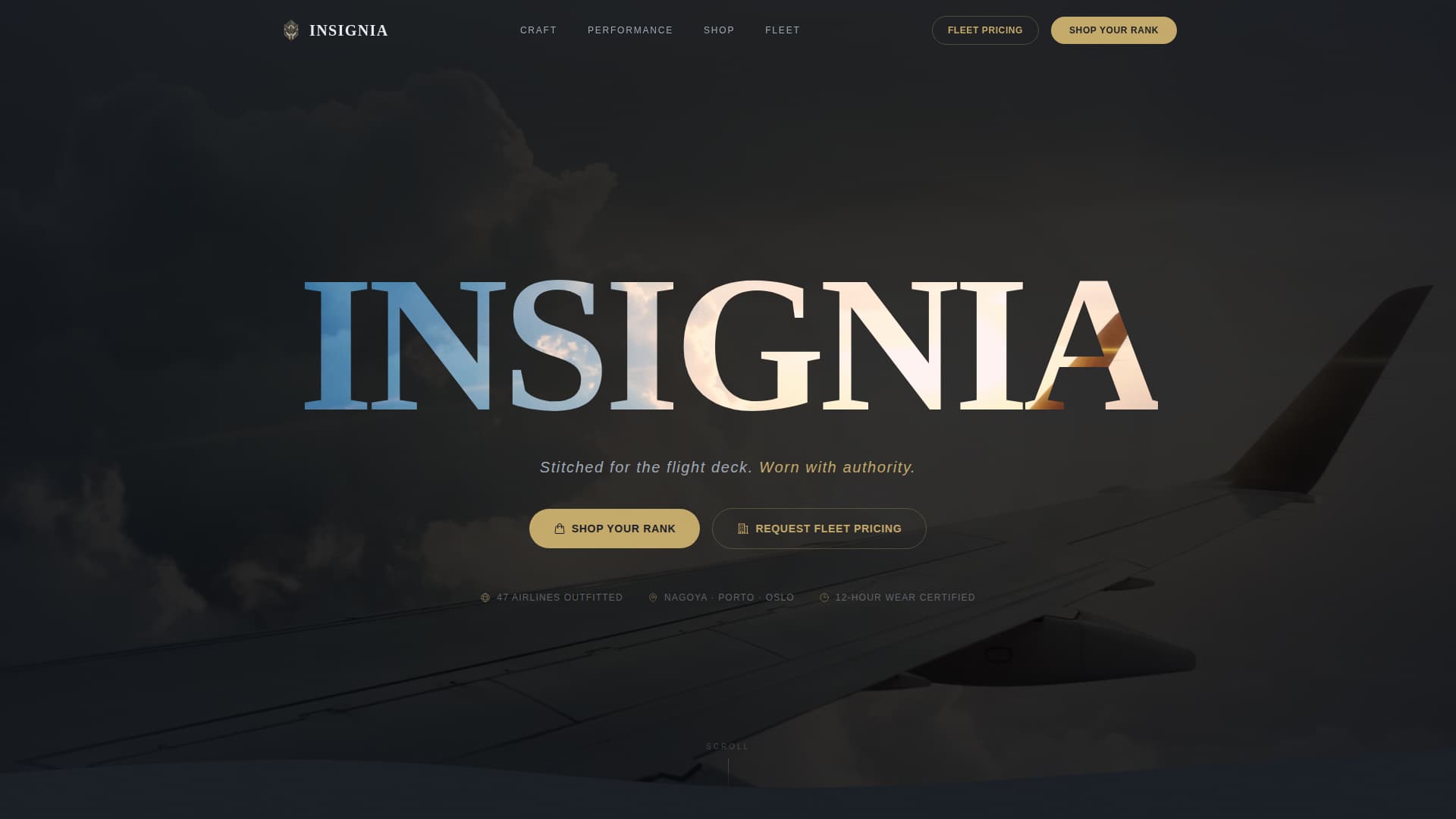Insignia - Precision Aviation Landing Page Template