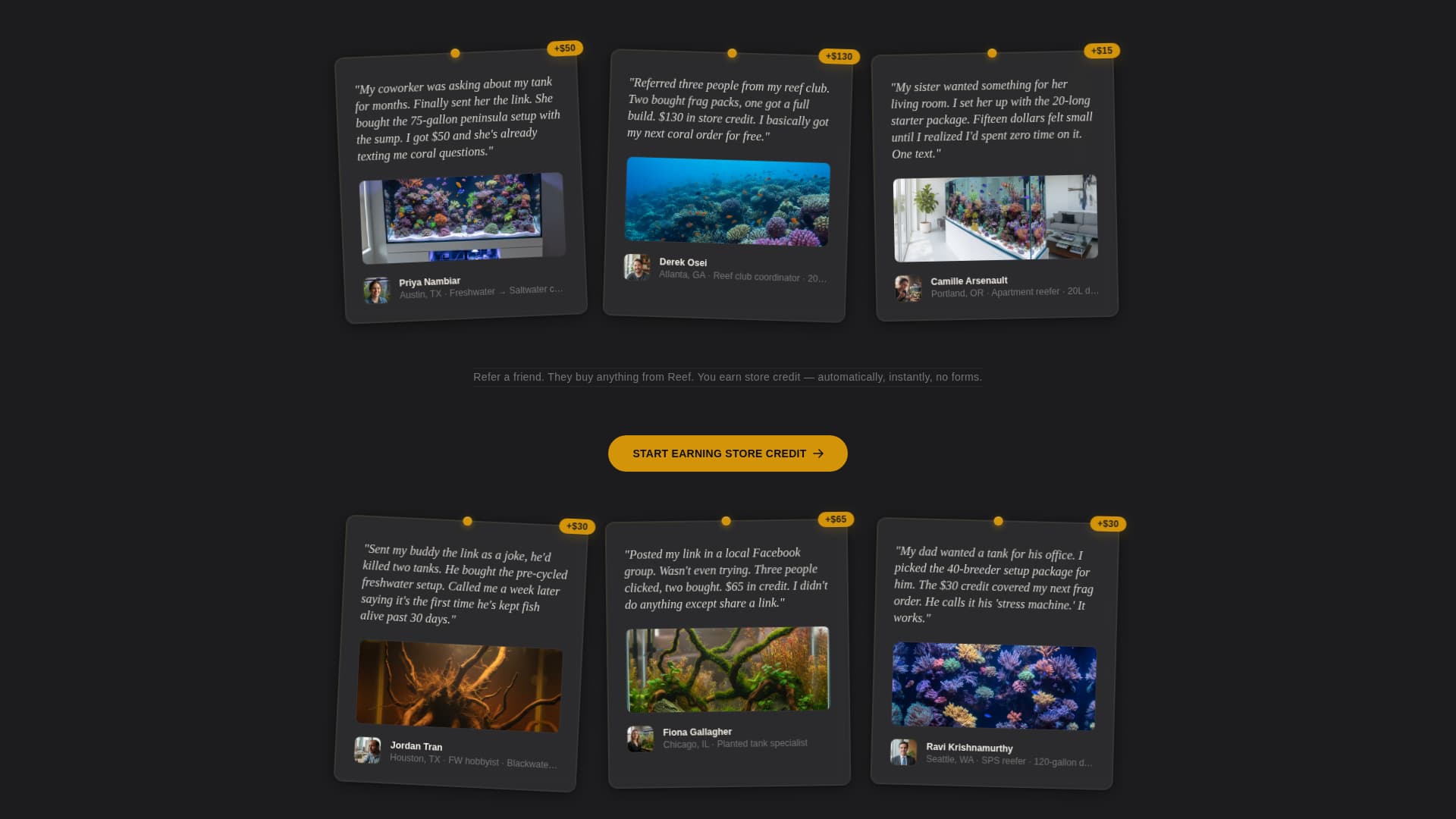 Reef - Luminous Aquarium Landing Page Template
