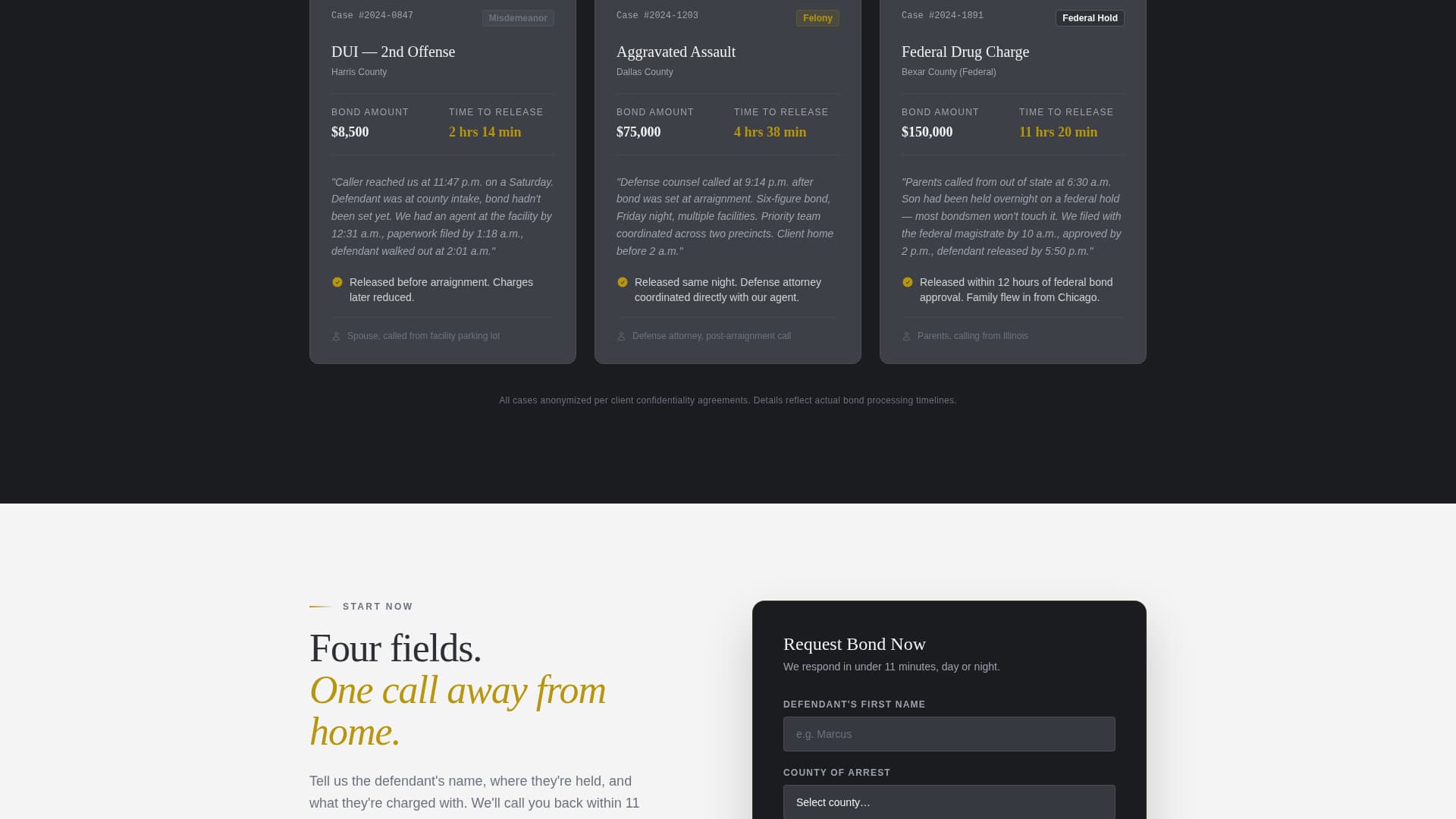 Bailnow - Authoritative Bondsman Landing Page Template