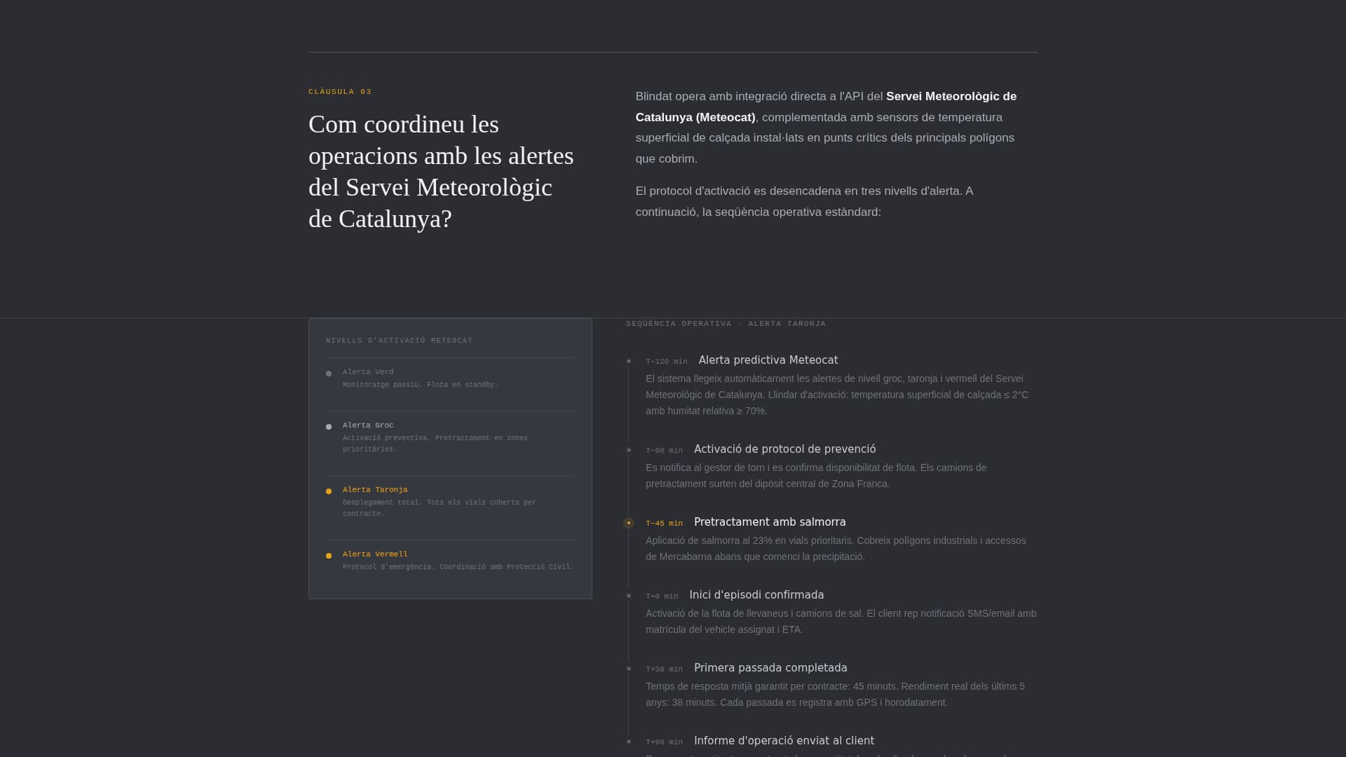 Blindat - Trusted Snowremoval Landing Page Template