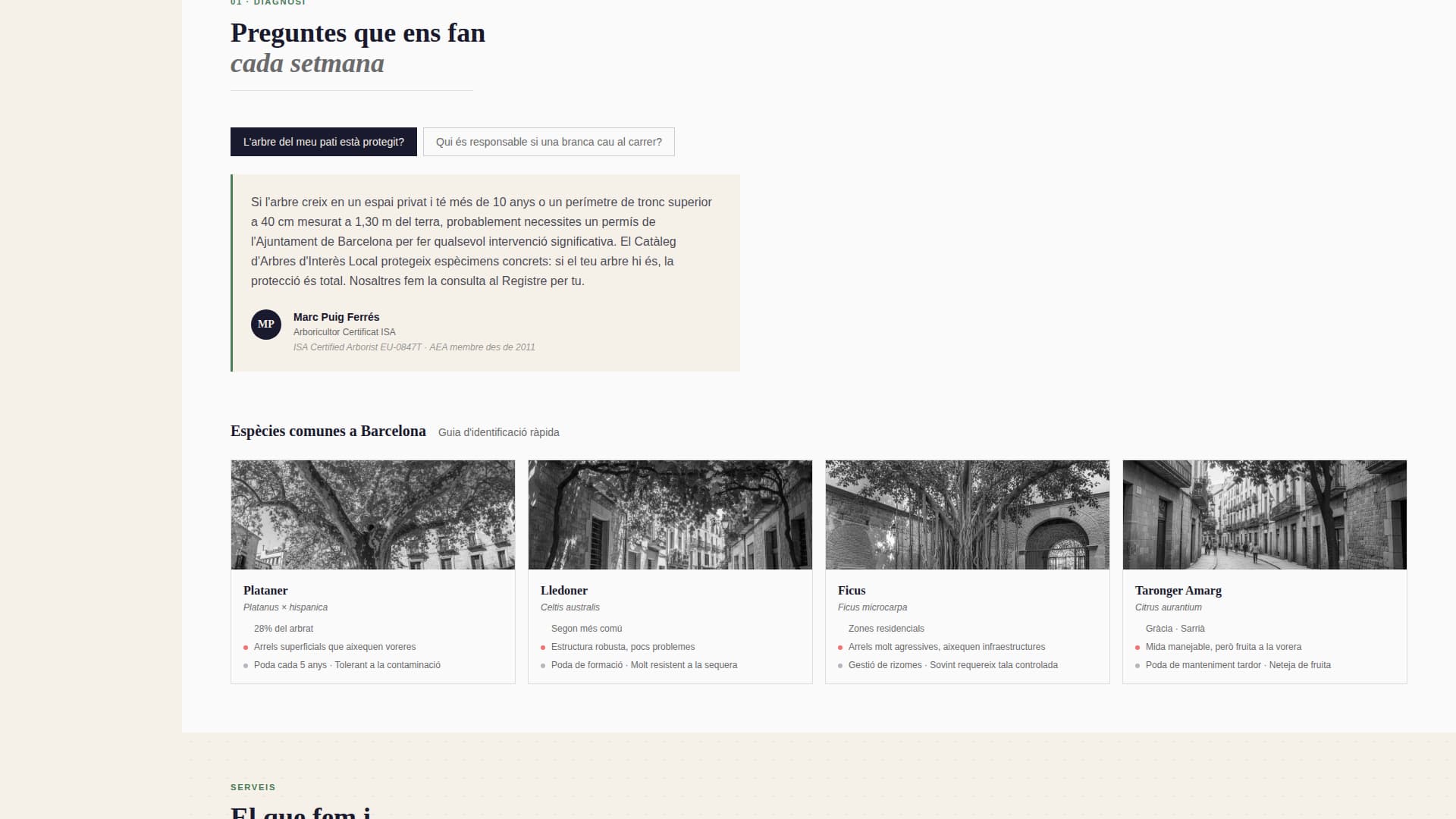 Canopy — Trusted Arboricultural Services Landing Page Template
