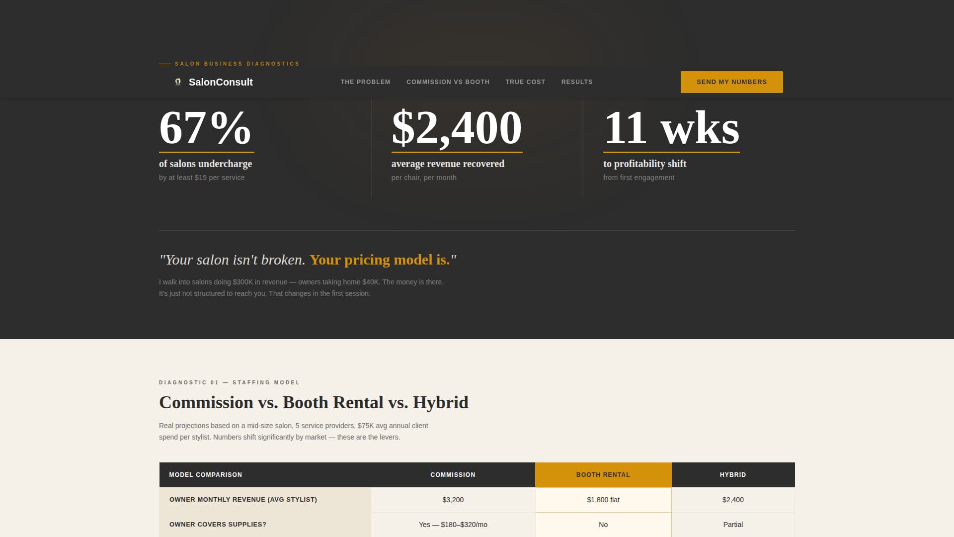 Salon - Profitfocused Consulting Landing Page Template
