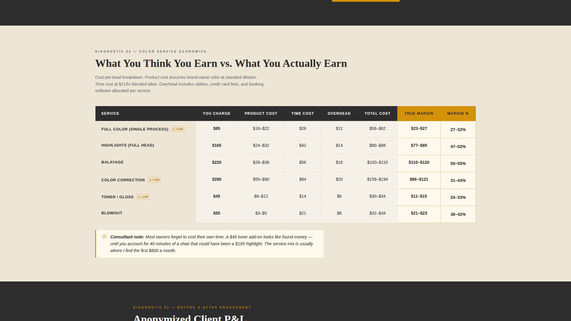 Salon - Profitfocused Consulting Landing Page Template