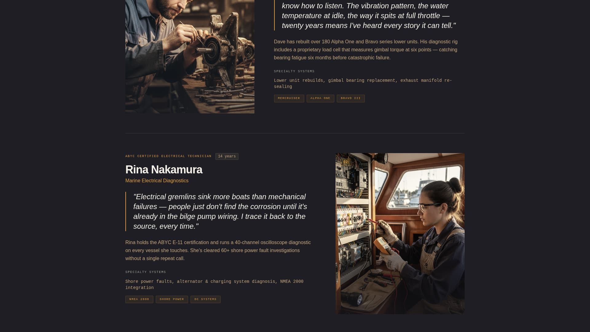 Boat Mechanic (Marine) Business Education Website Template
