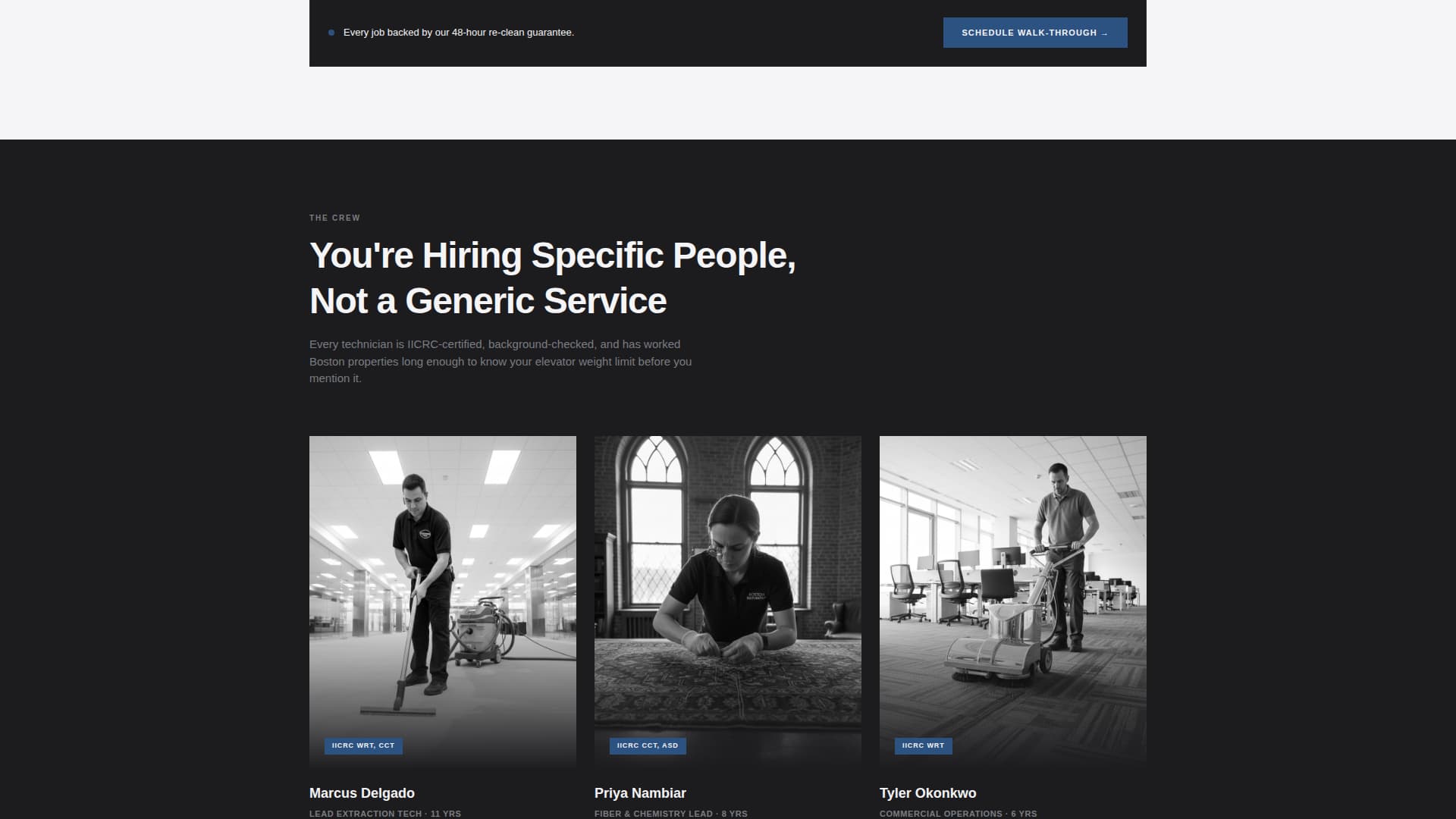 Fiber - Elite Carpetcleaning Landing Page Template