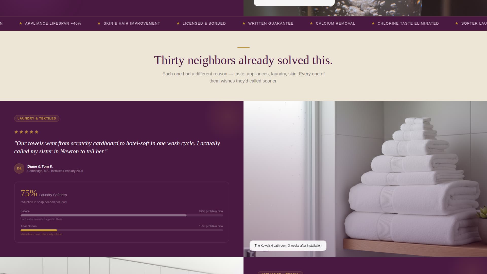 Pure — Certified Water Treatment Landing Page Template