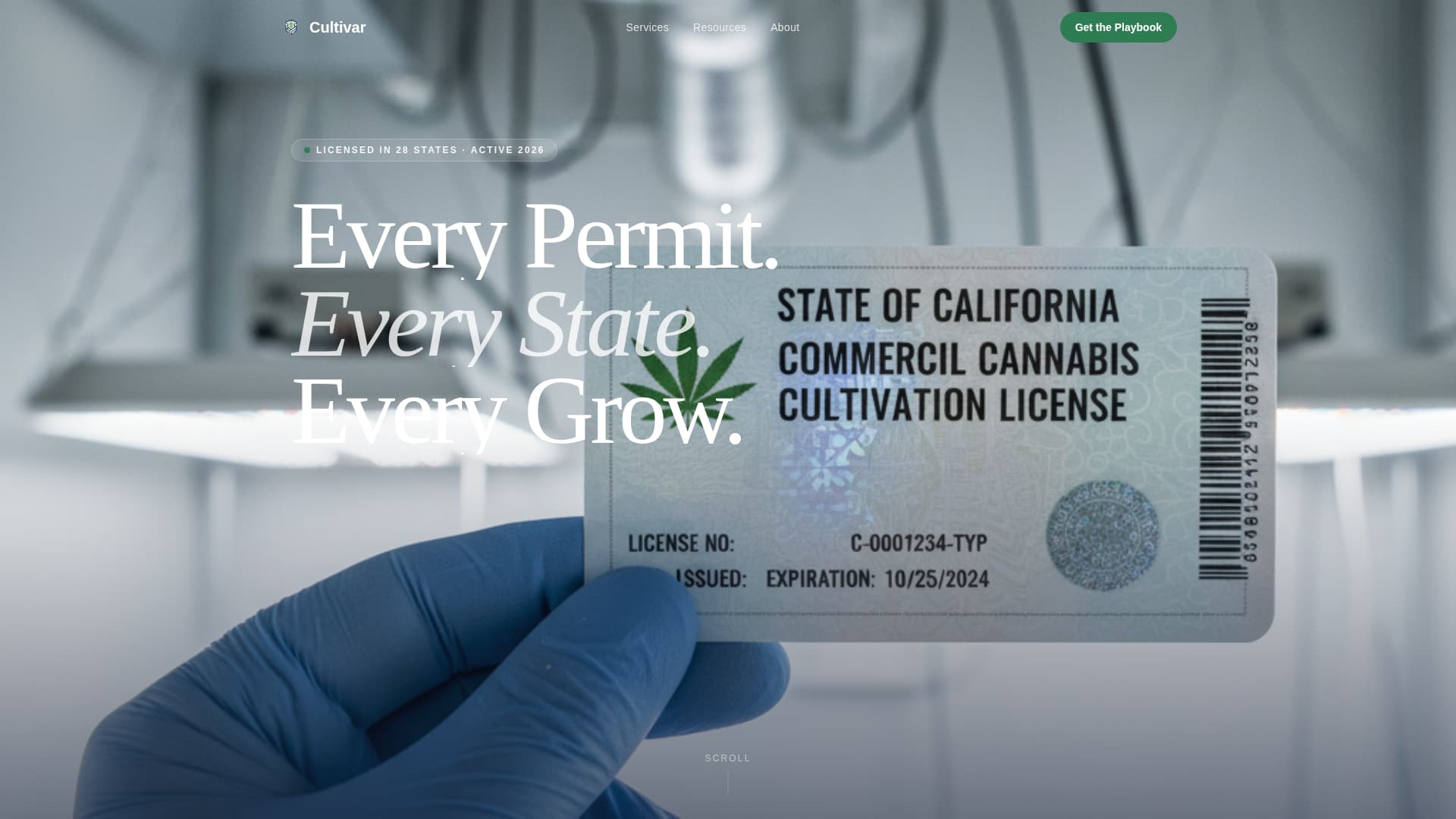 Cannabis Consulting Privacy Policy Website Template