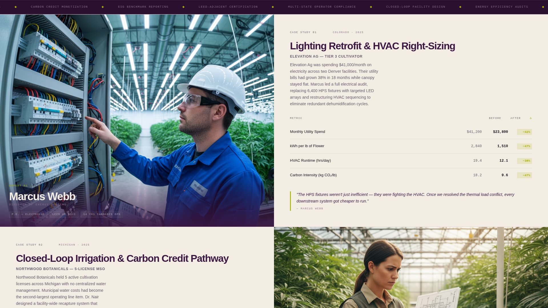 Cannabis Consulting Portfolio Website Template