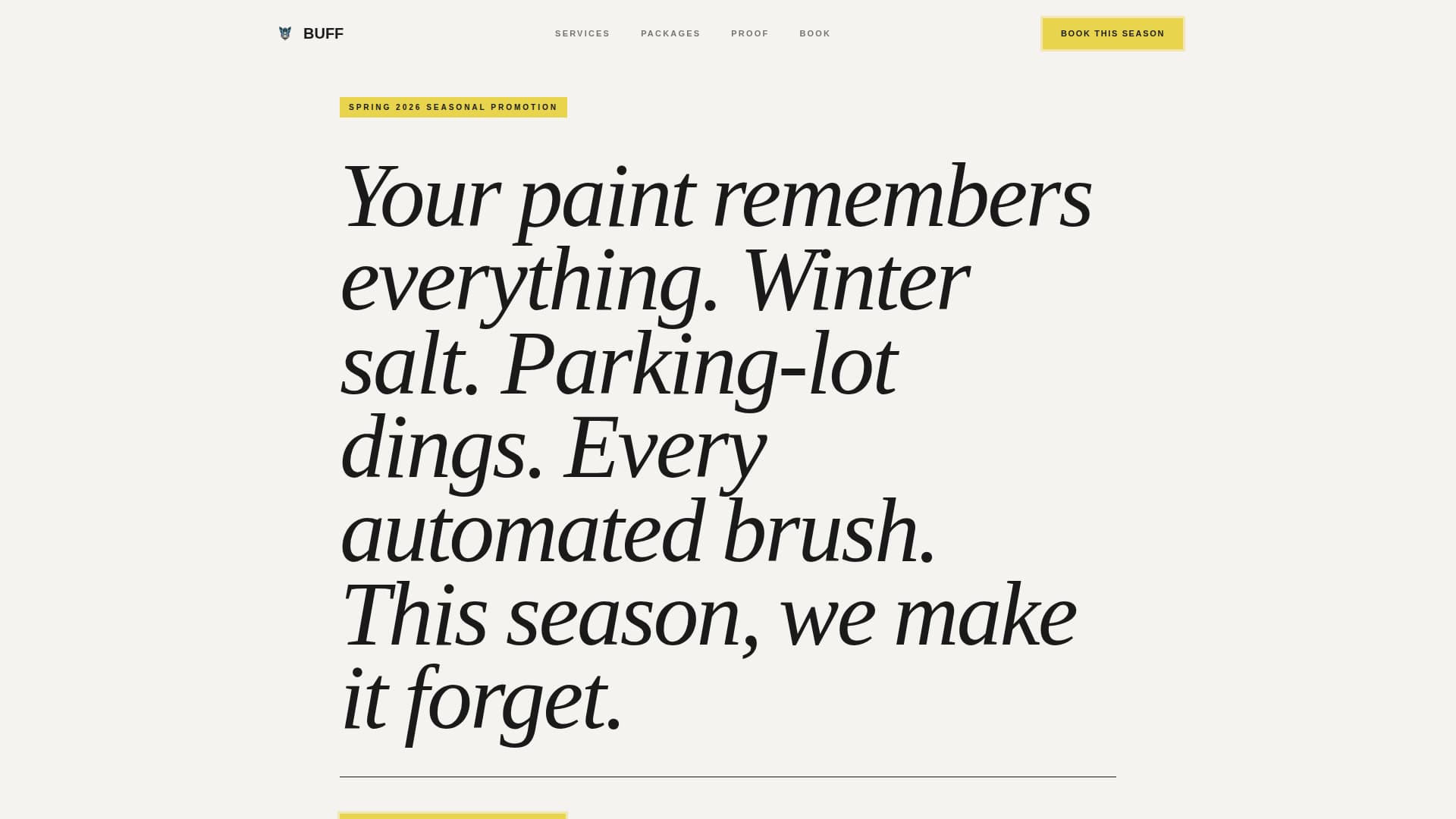 Car Detailing Marketing Specialist Booking Website Template