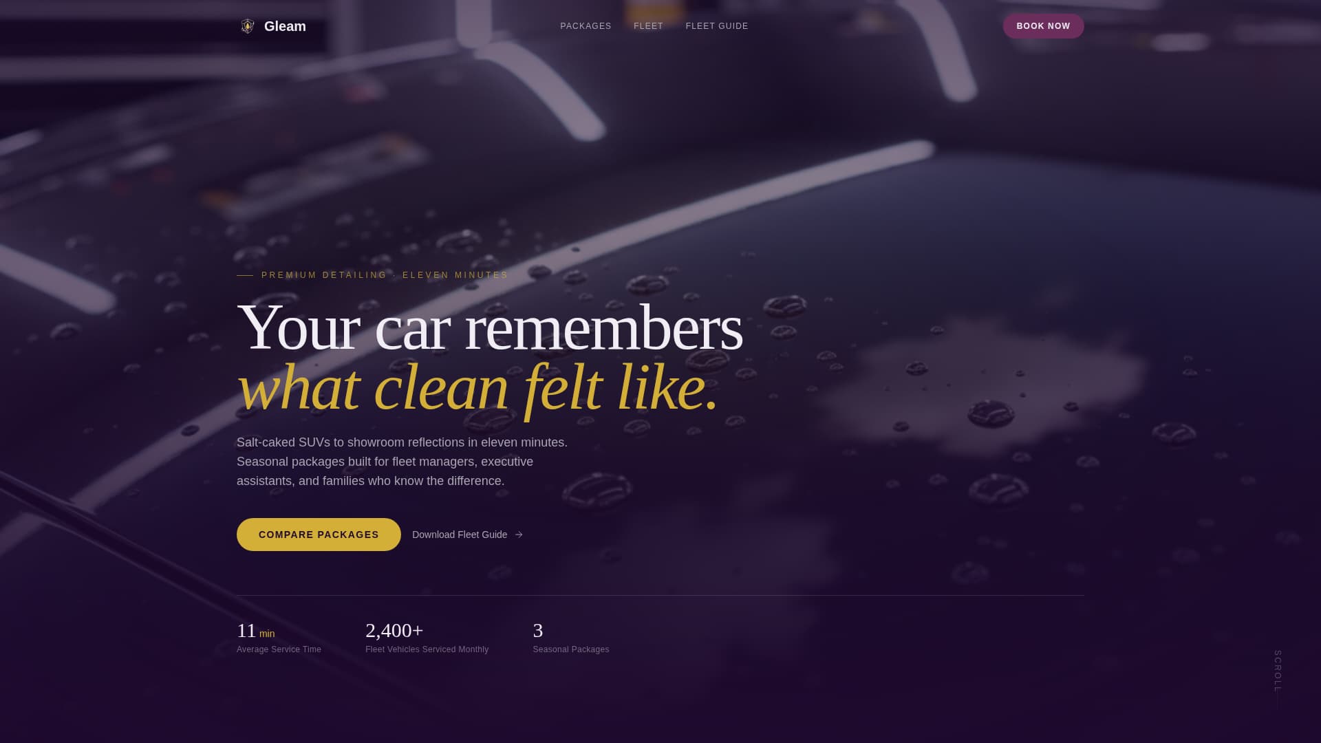 Gleam - Executive Carwash Landing Page Template