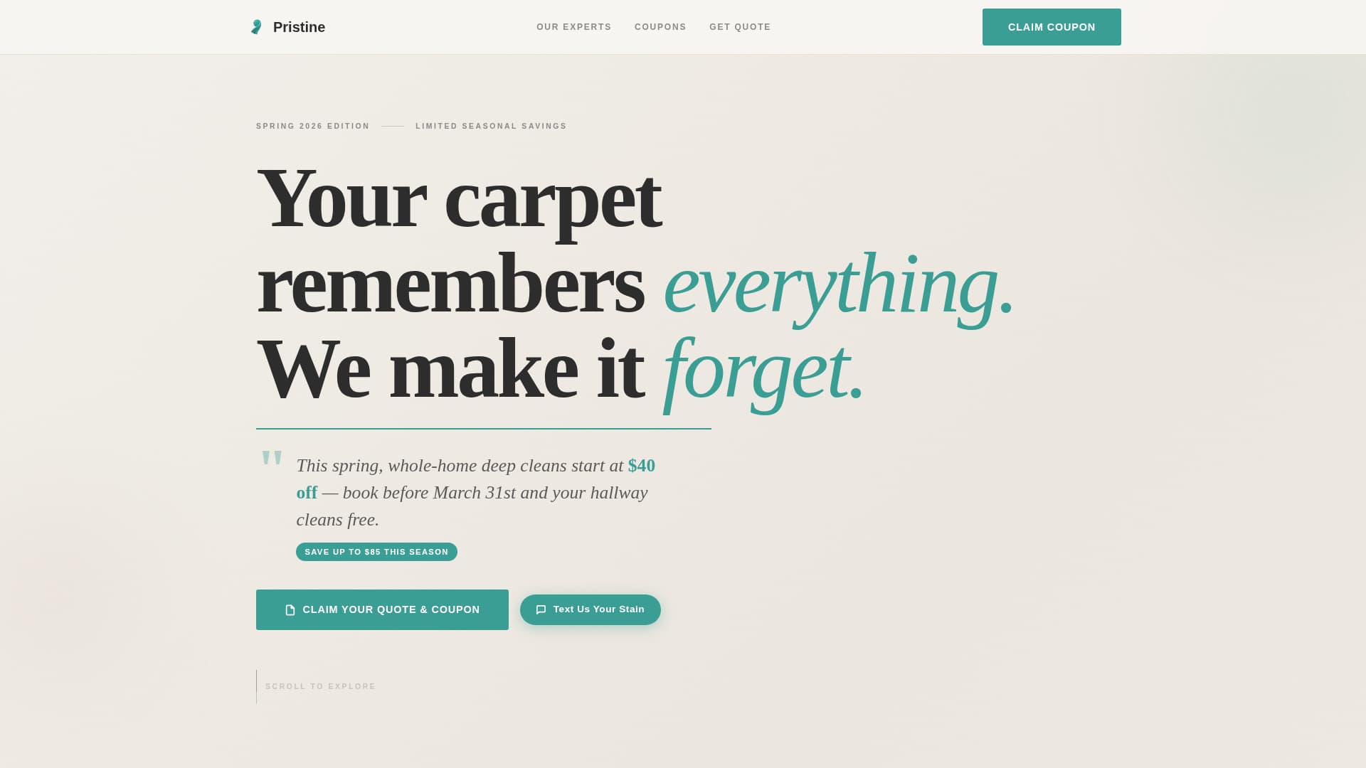 Carpet Cleaner Marketing Booking Website Template