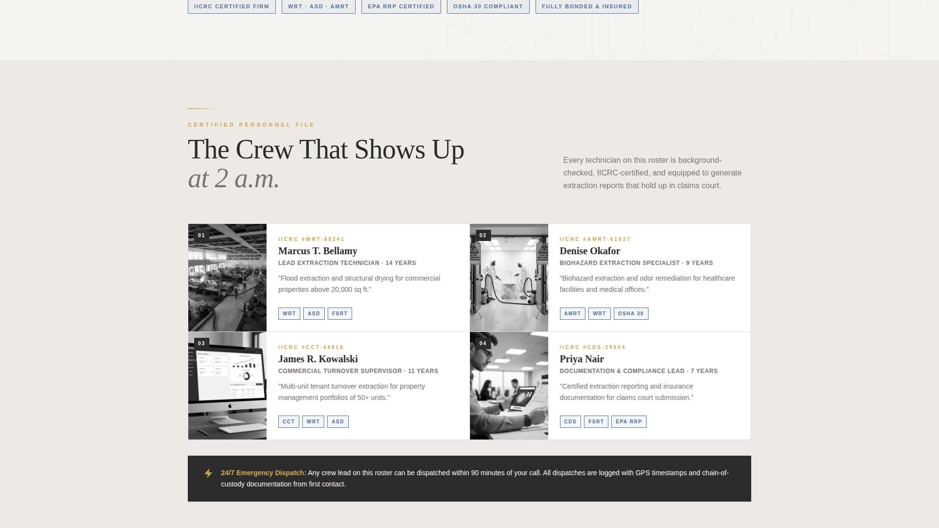 Carpet Cleaner Marketing Professional Website Template