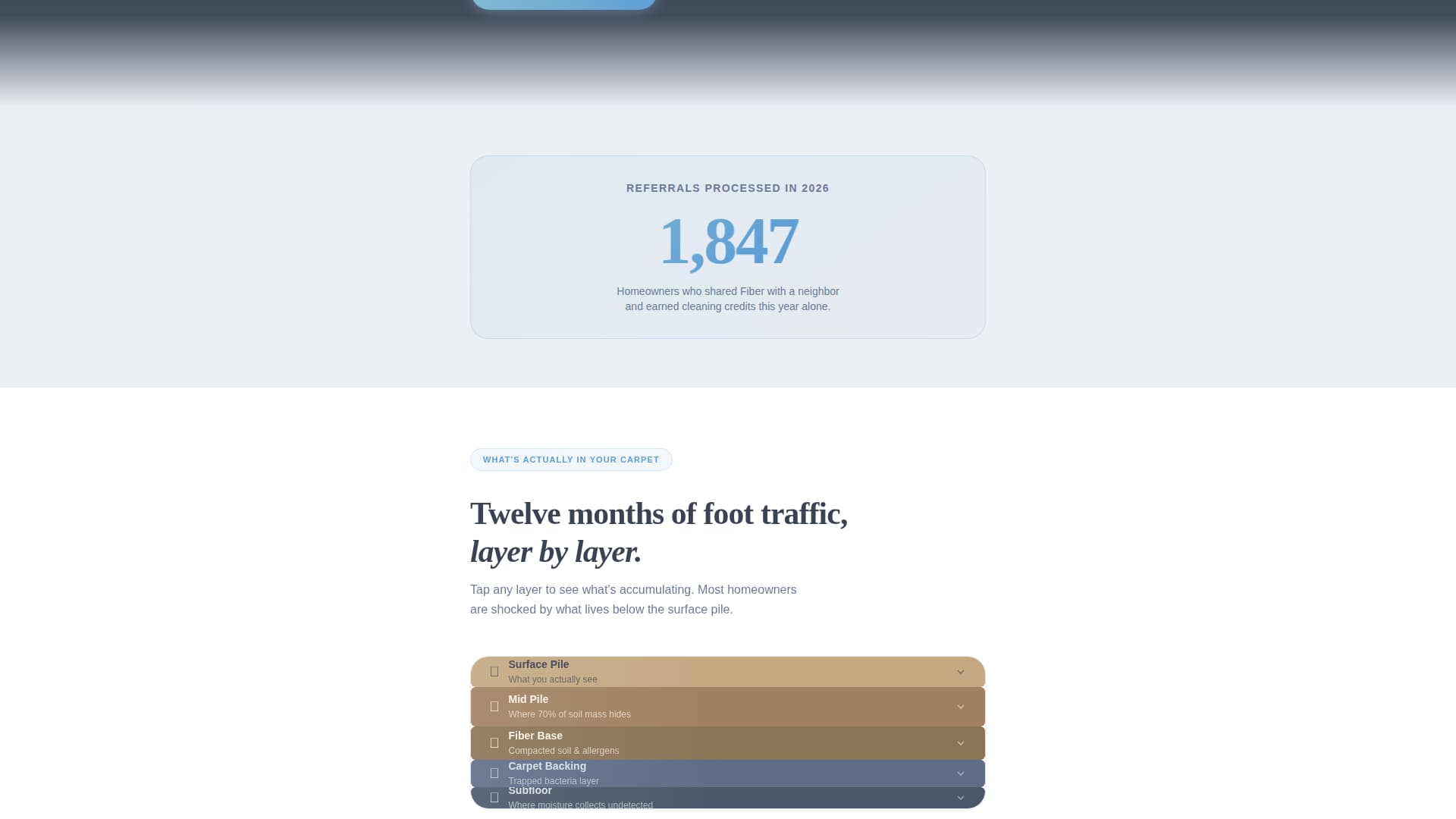Carpet Cleaner Marketing Reviews Website Template