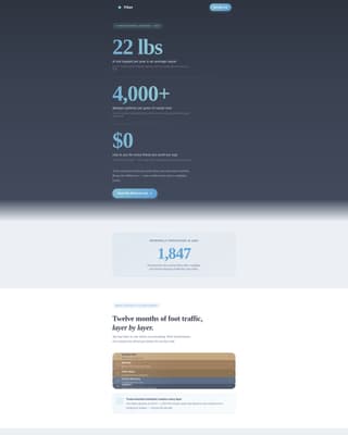 Carpet Cleaner Marketing Reviews Website Template