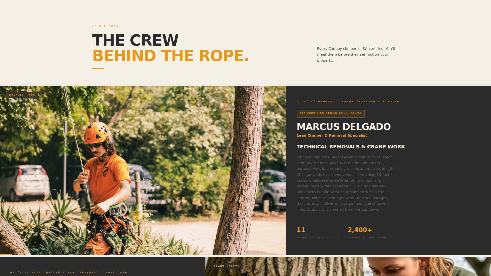 Grove — Certified Tree Service Landing Page Template