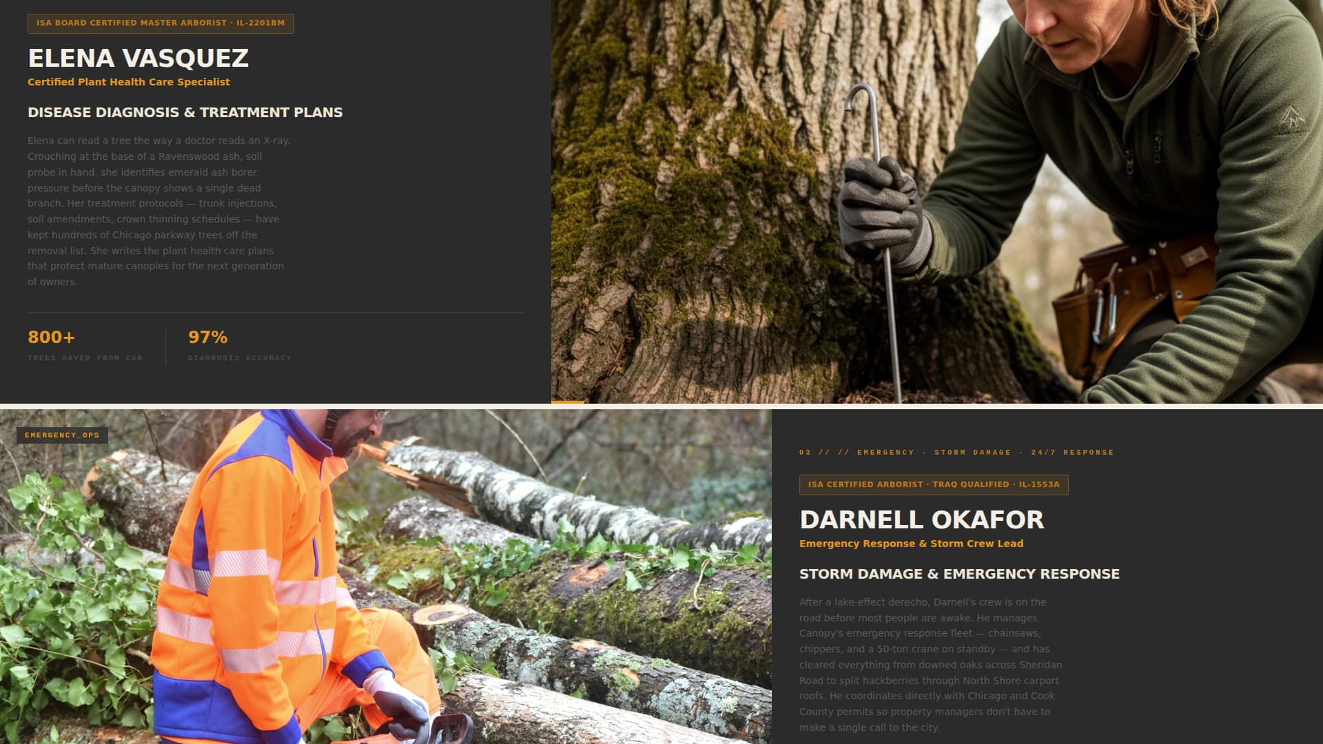 Grove — Certified Tree Service Landing Page Template
