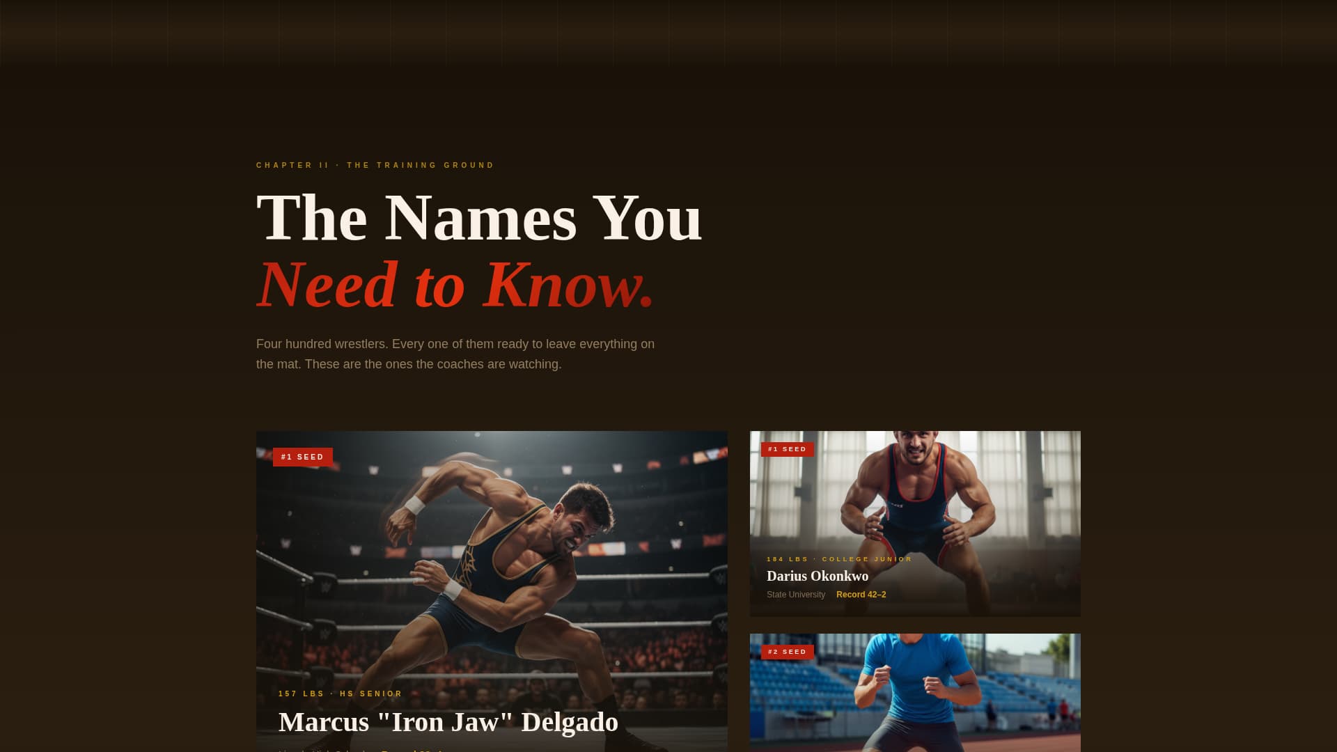 Pin — Dominant Grappling Sports Landing Page Template