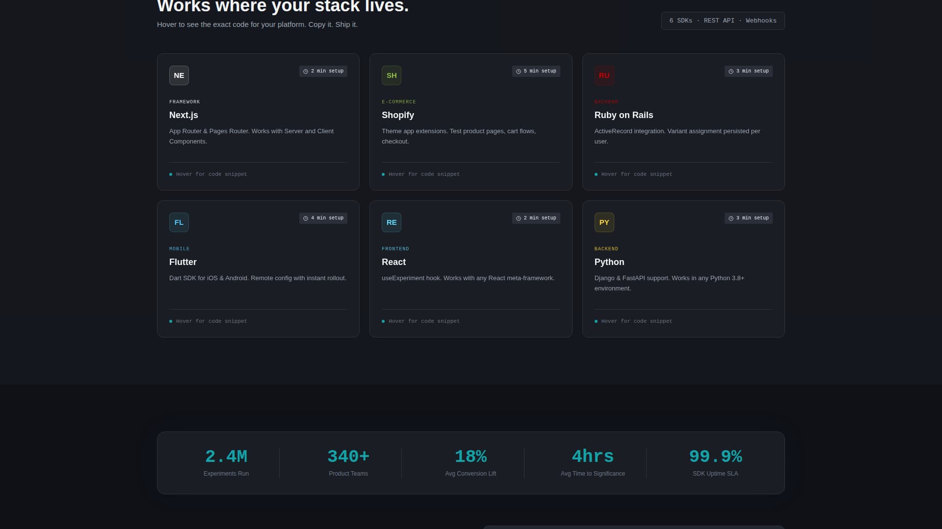 Micro-SaaS & Developer Tools Specialist Professional Website Template