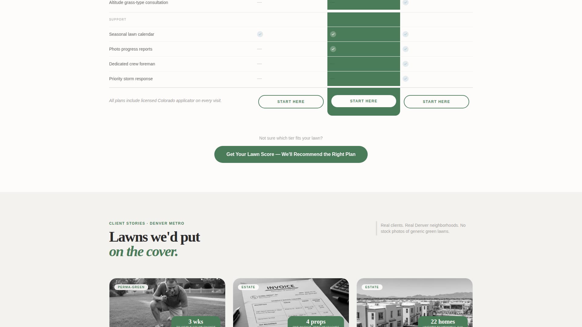 Turf - Editorial Lawncare Landing Page Template
