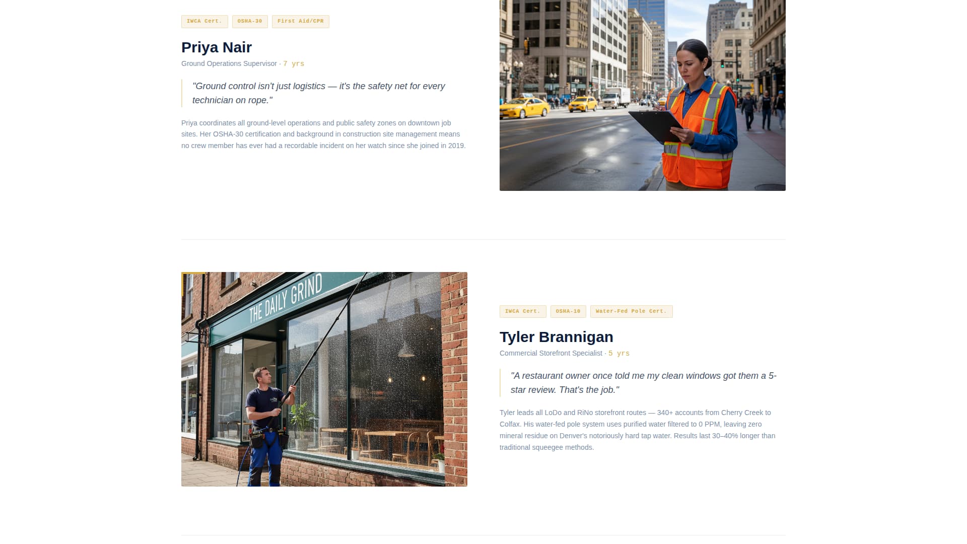 Pane - Precision Windowcleaning Landing Page Template